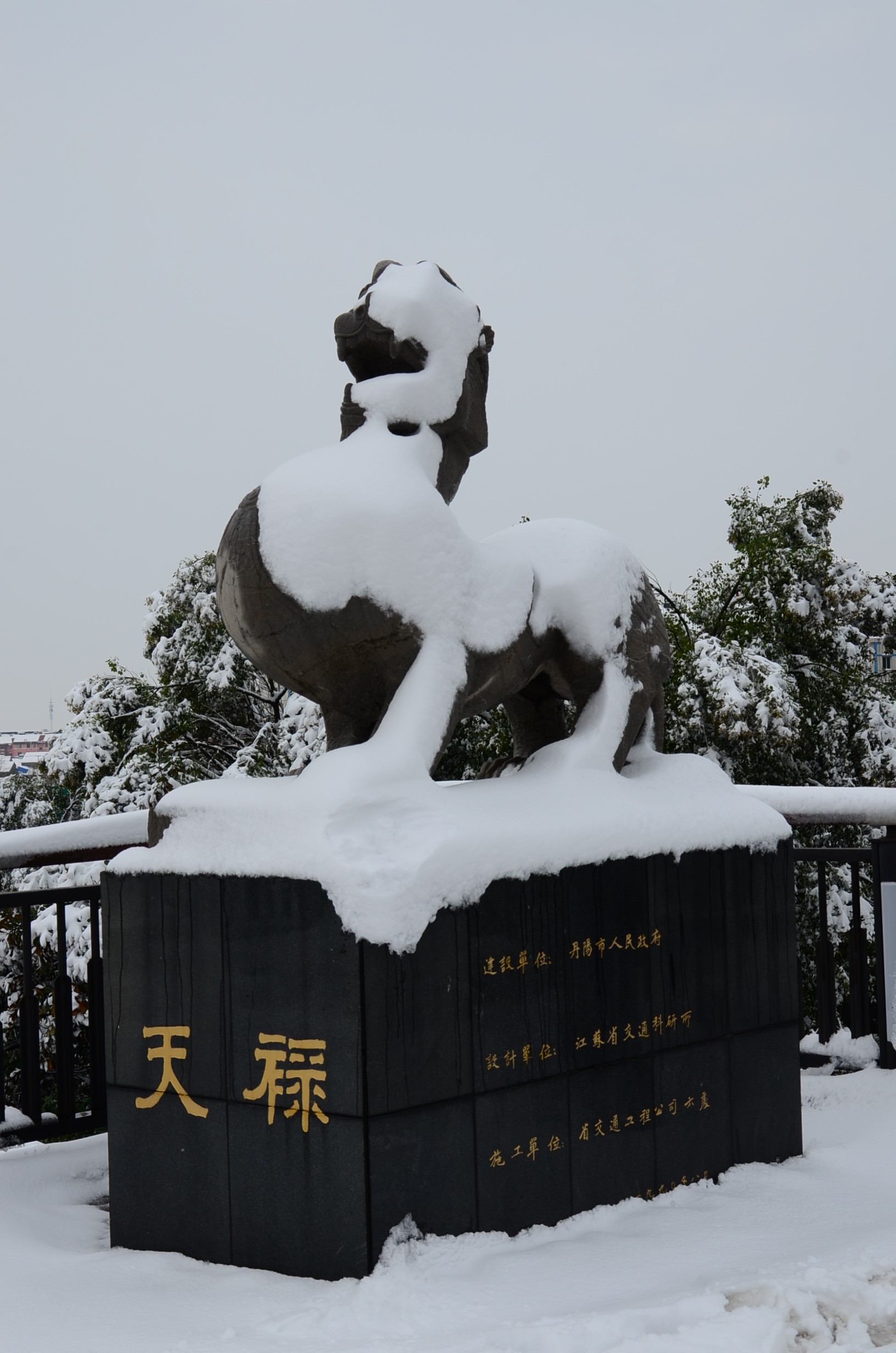 DSC_1680.JPG
