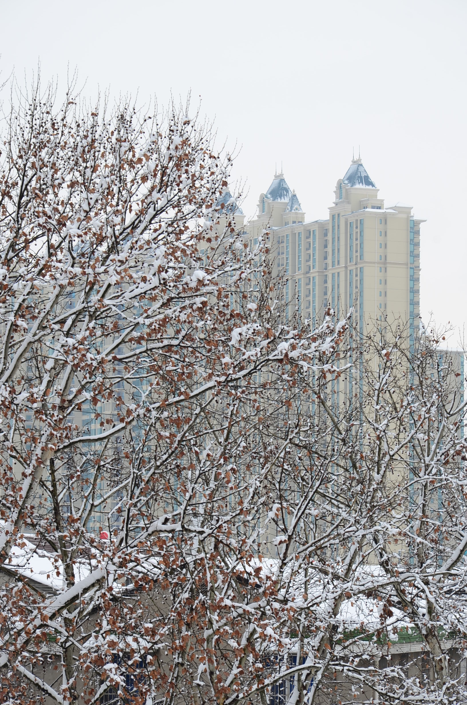 DSC_1684.JPG