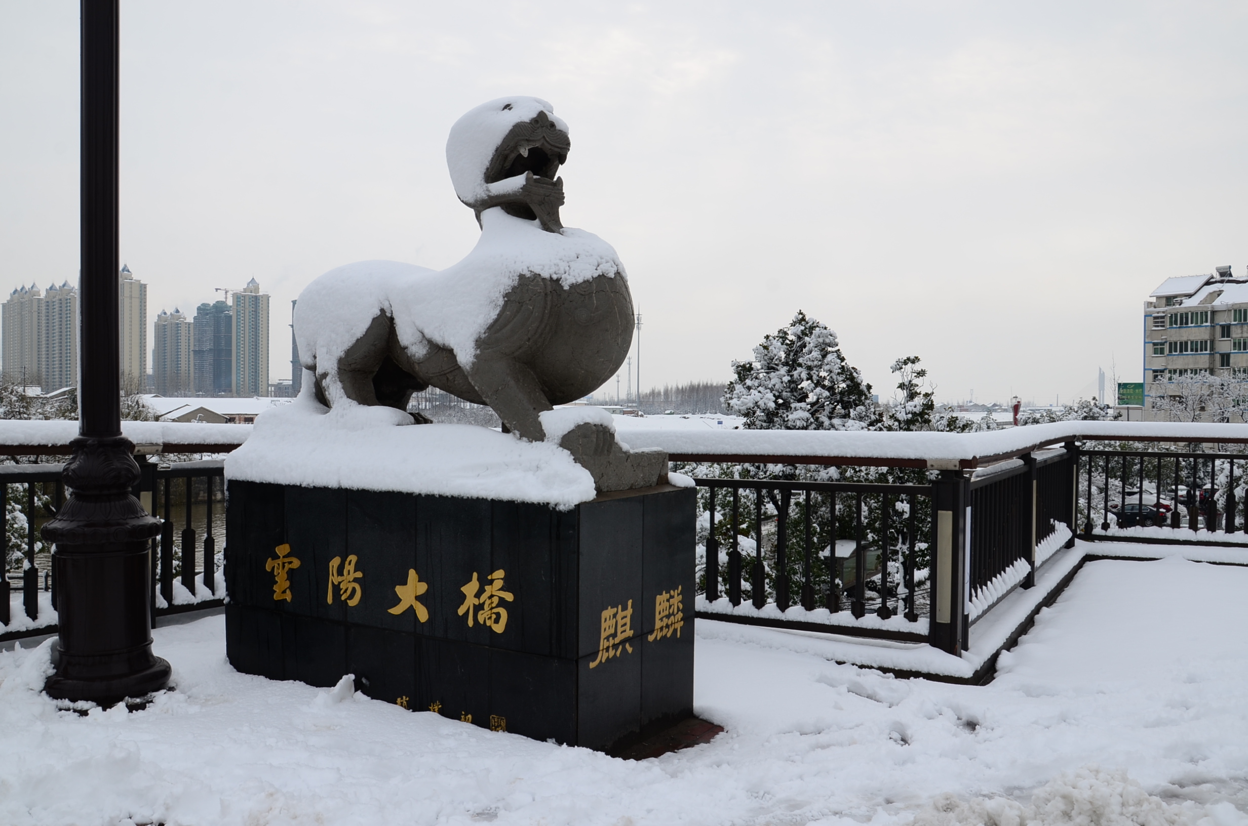 DSC_1660.JPG