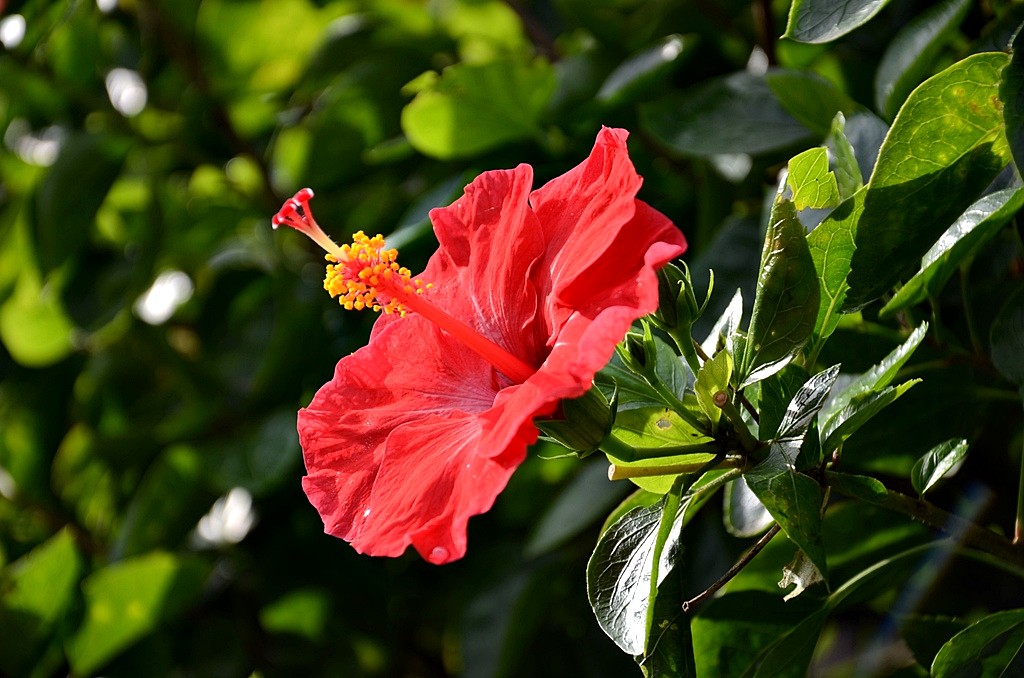 DSC_9848.JPG