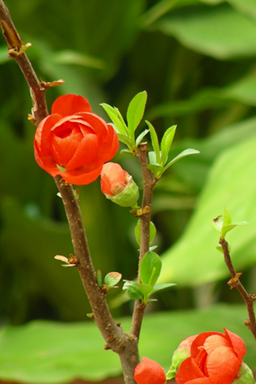 DSCN0582.jpg