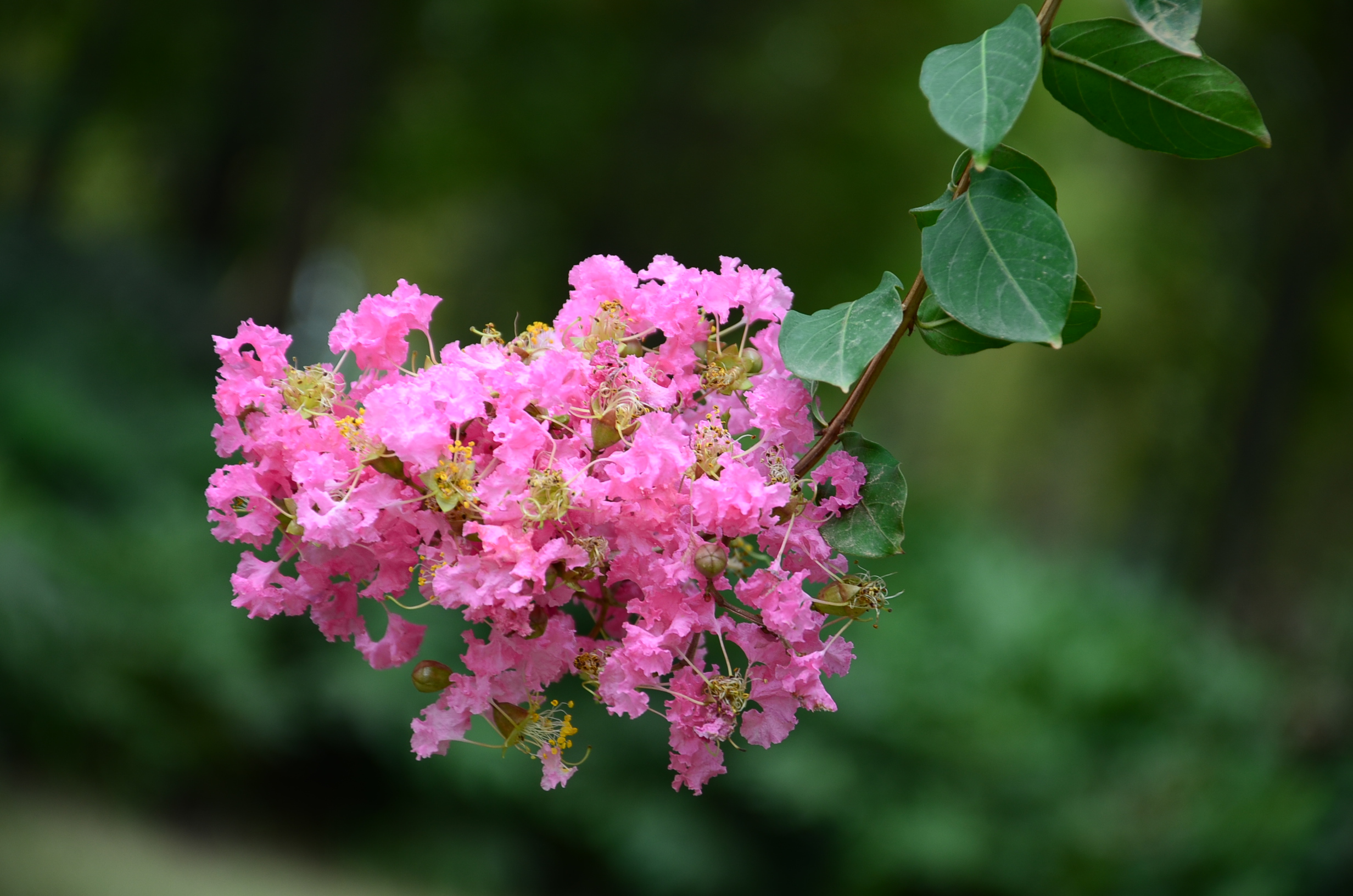 DSC_8541.JPG