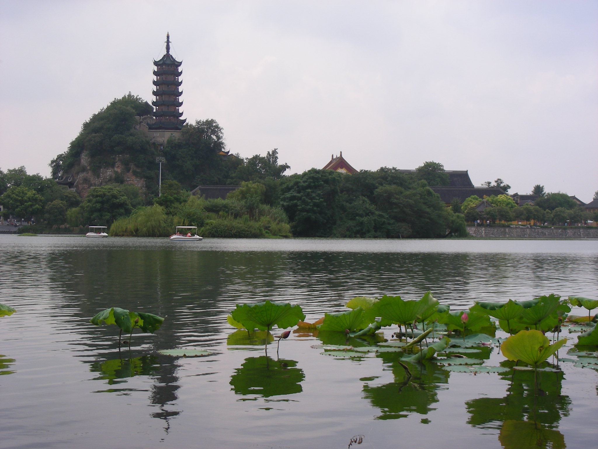 DSCN0082.JPG