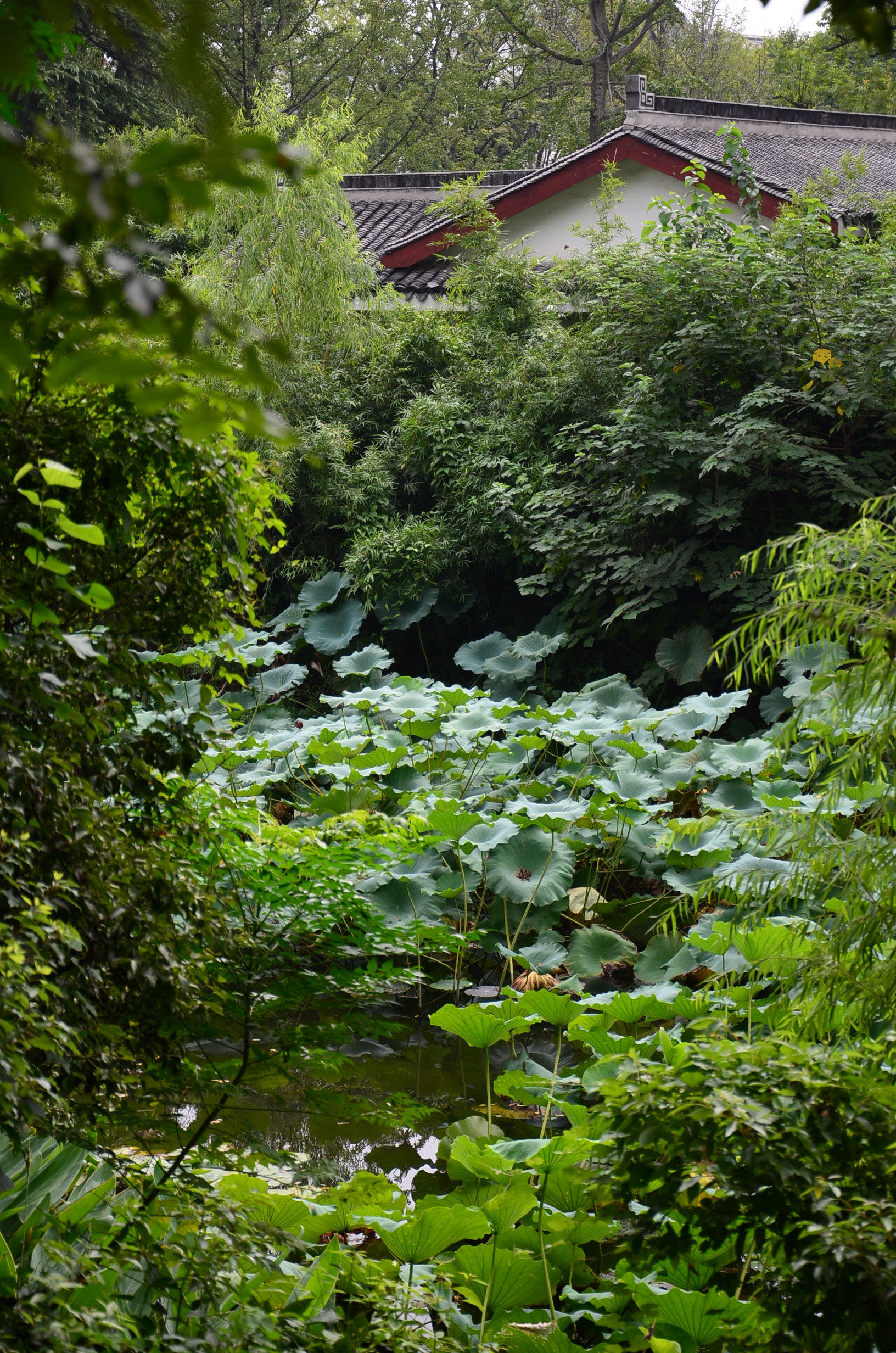 DSC_8845.JPG