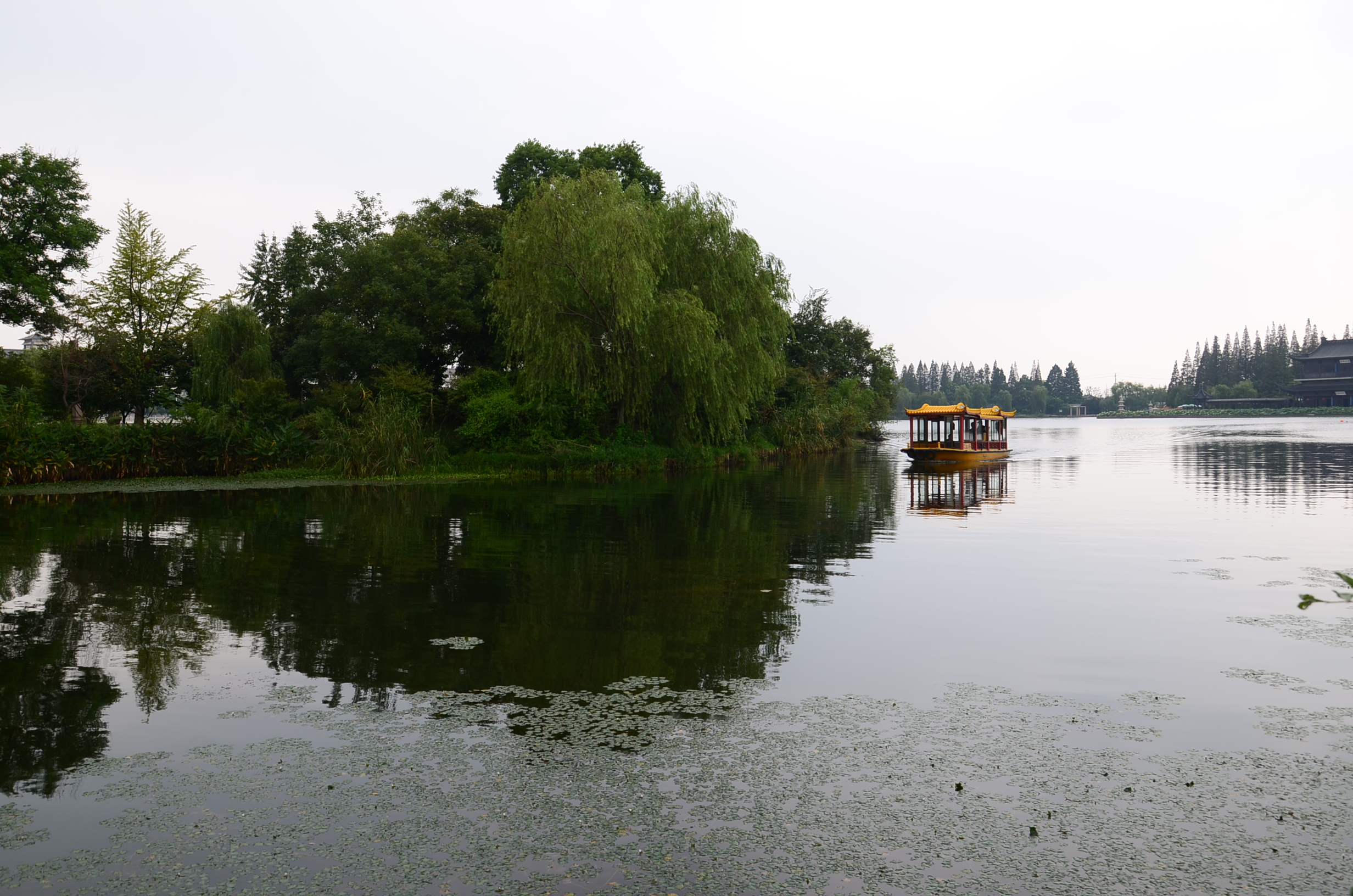 DSC_8789.JPG