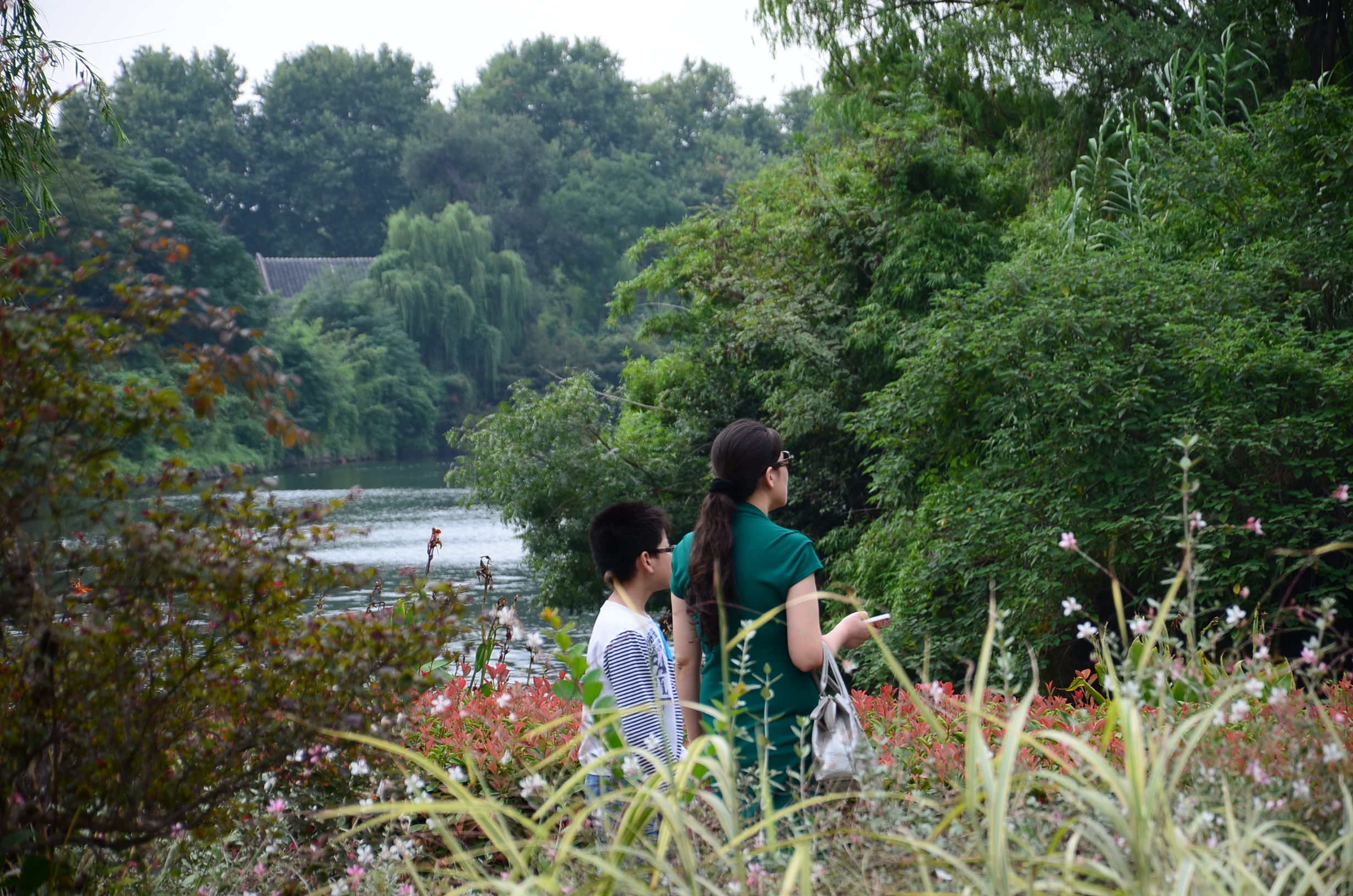 DSC_8606.JPG
