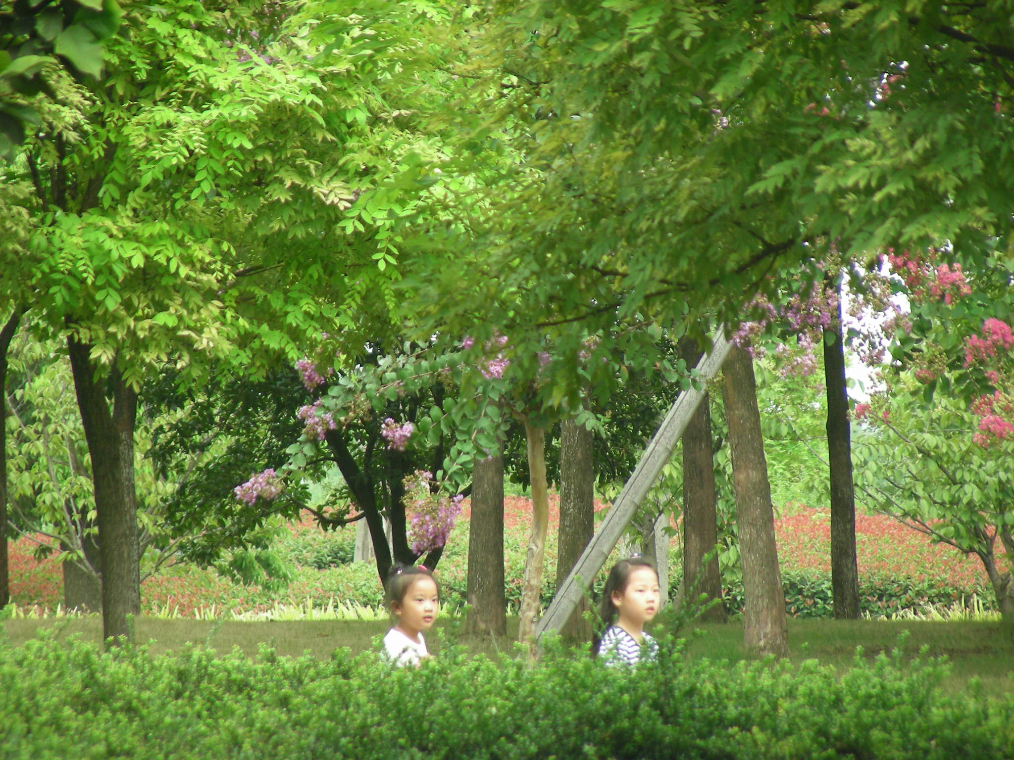 DSCN0059.JPG