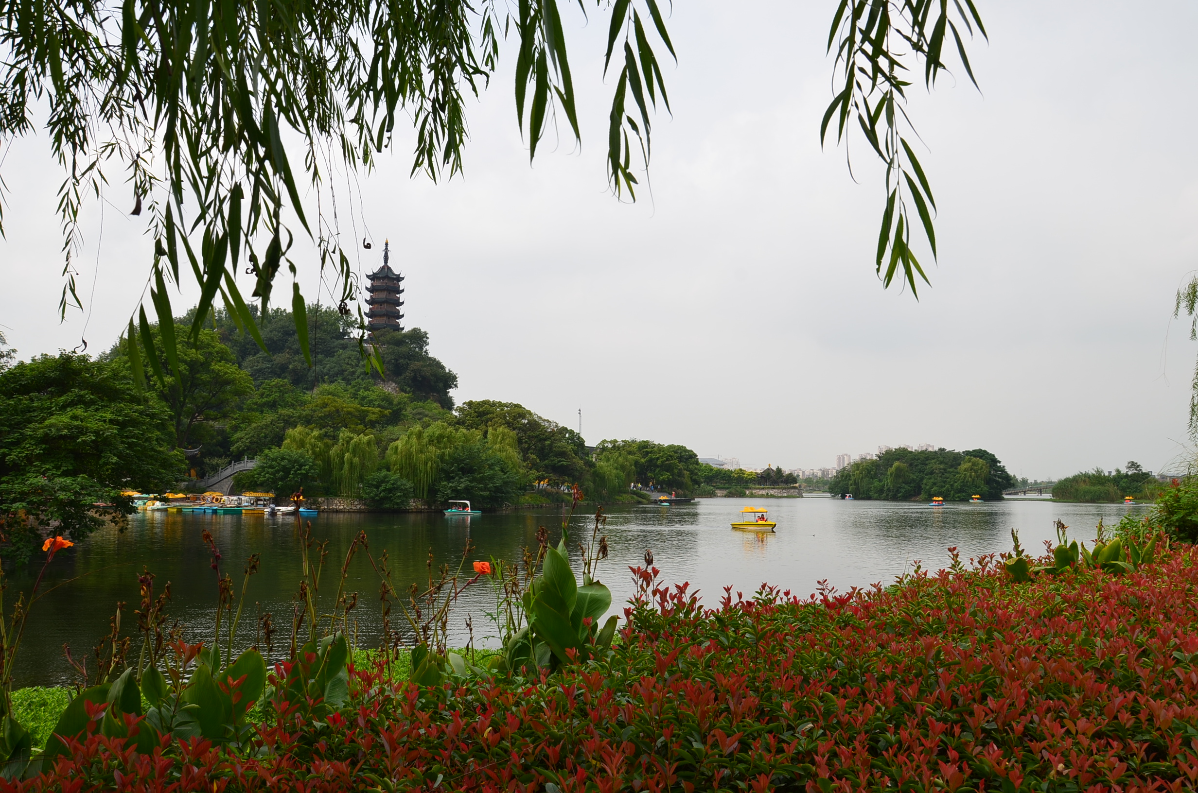 DSC_8619.JPG