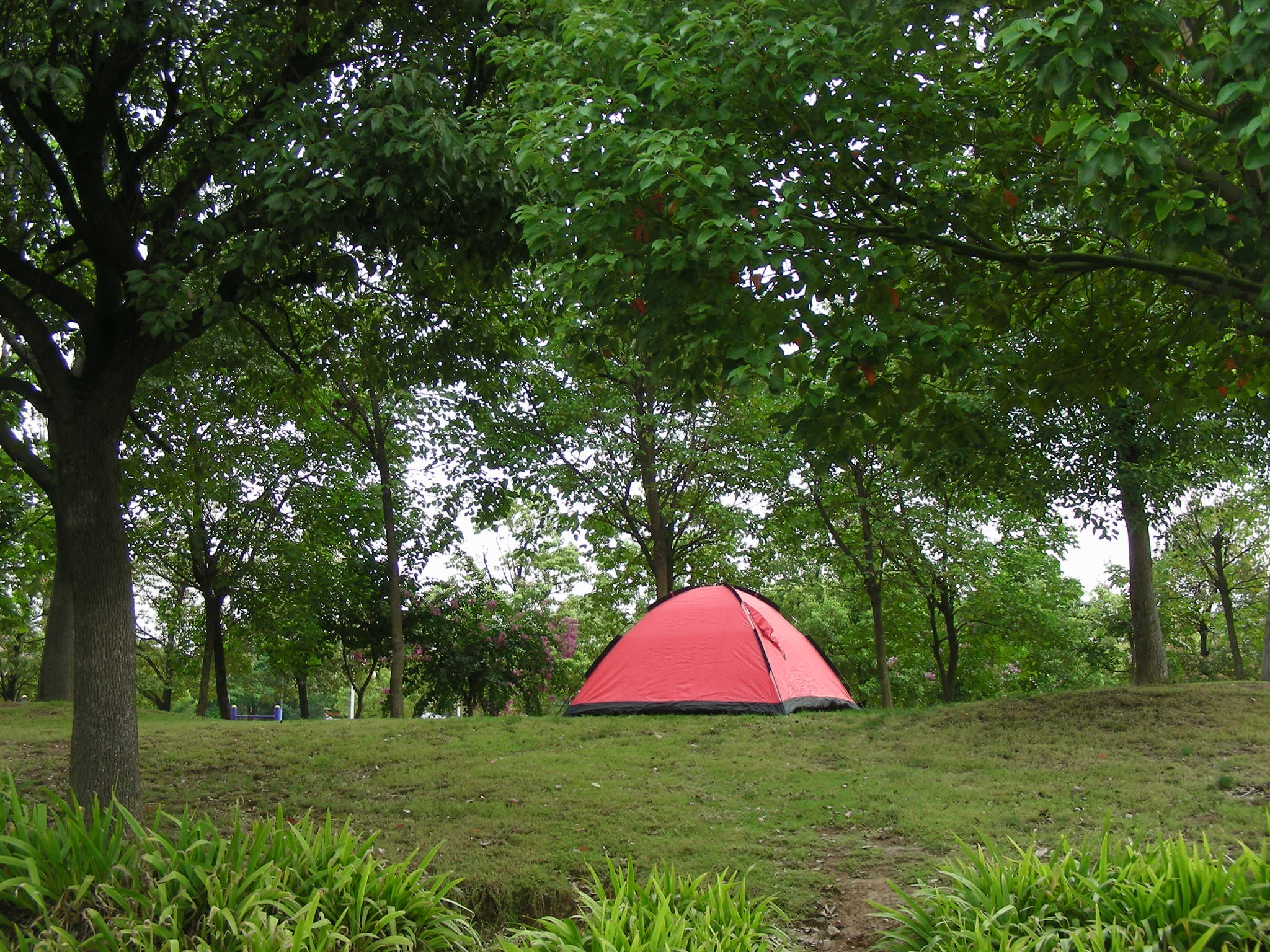 DSCN0056.JPG