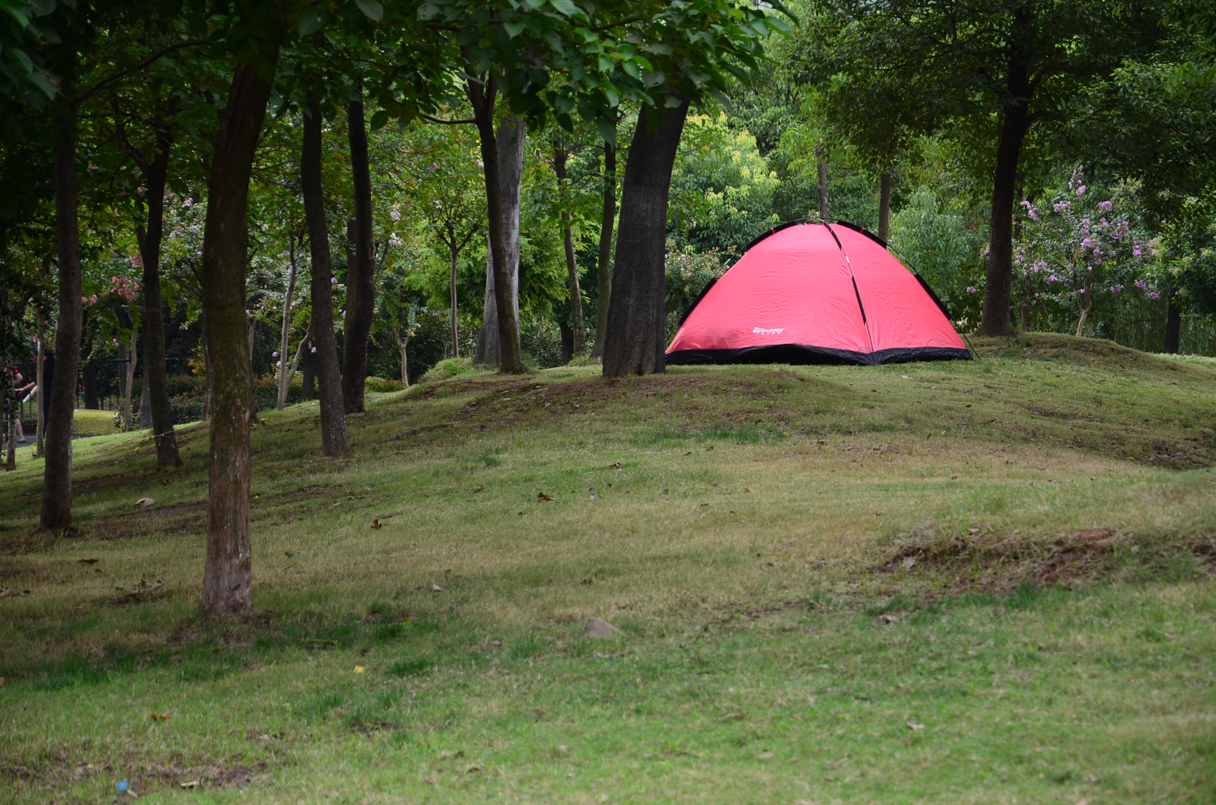 DSC_8592.JPG