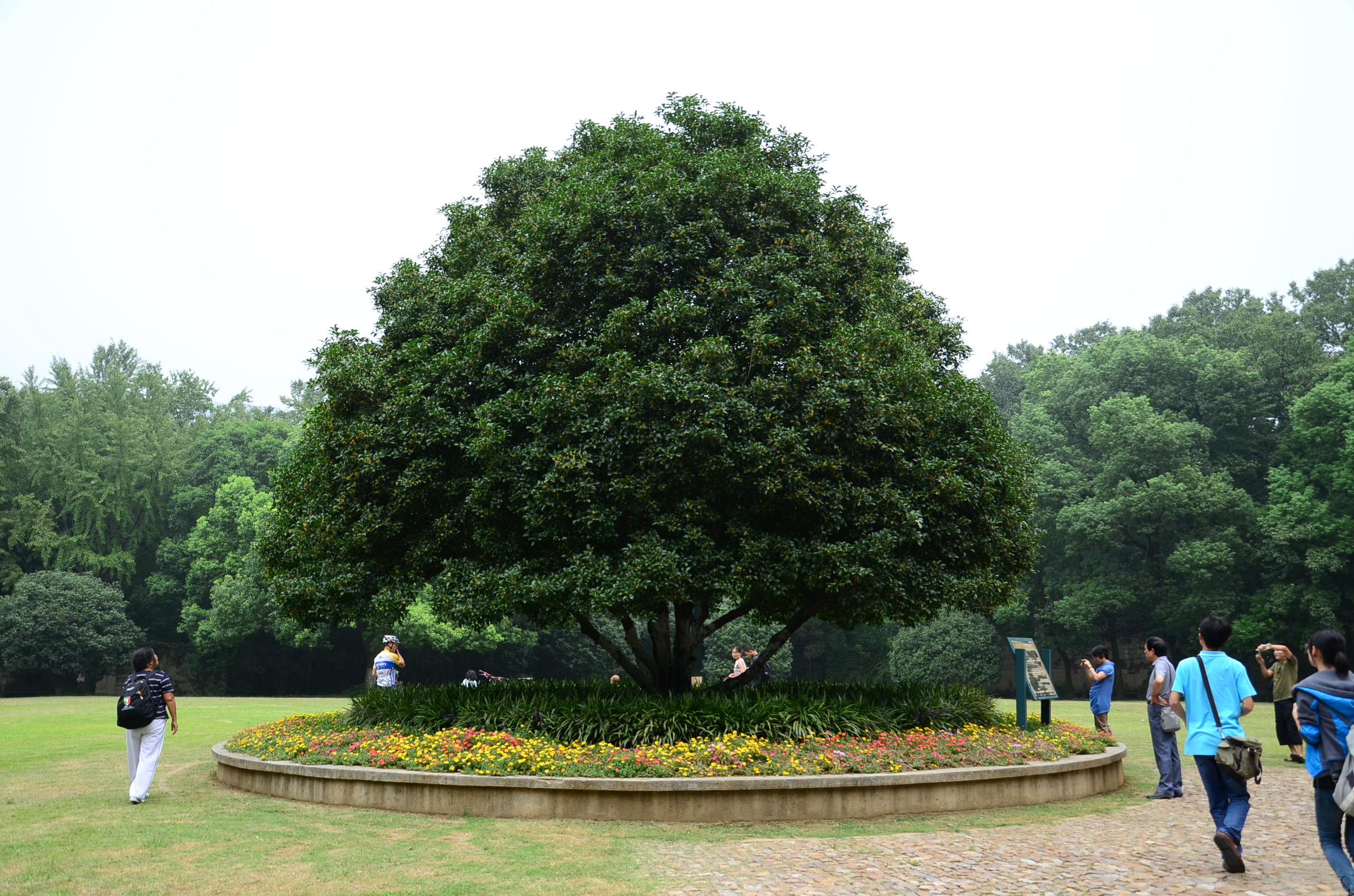 DSC_9124.JPG