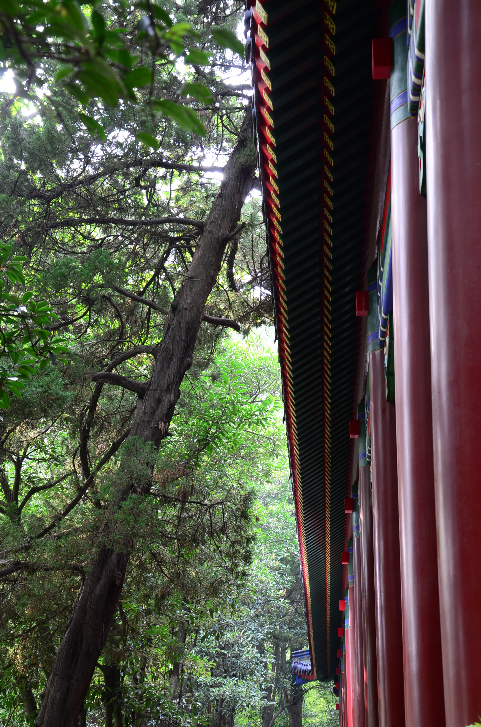 DSC_9370.JPG