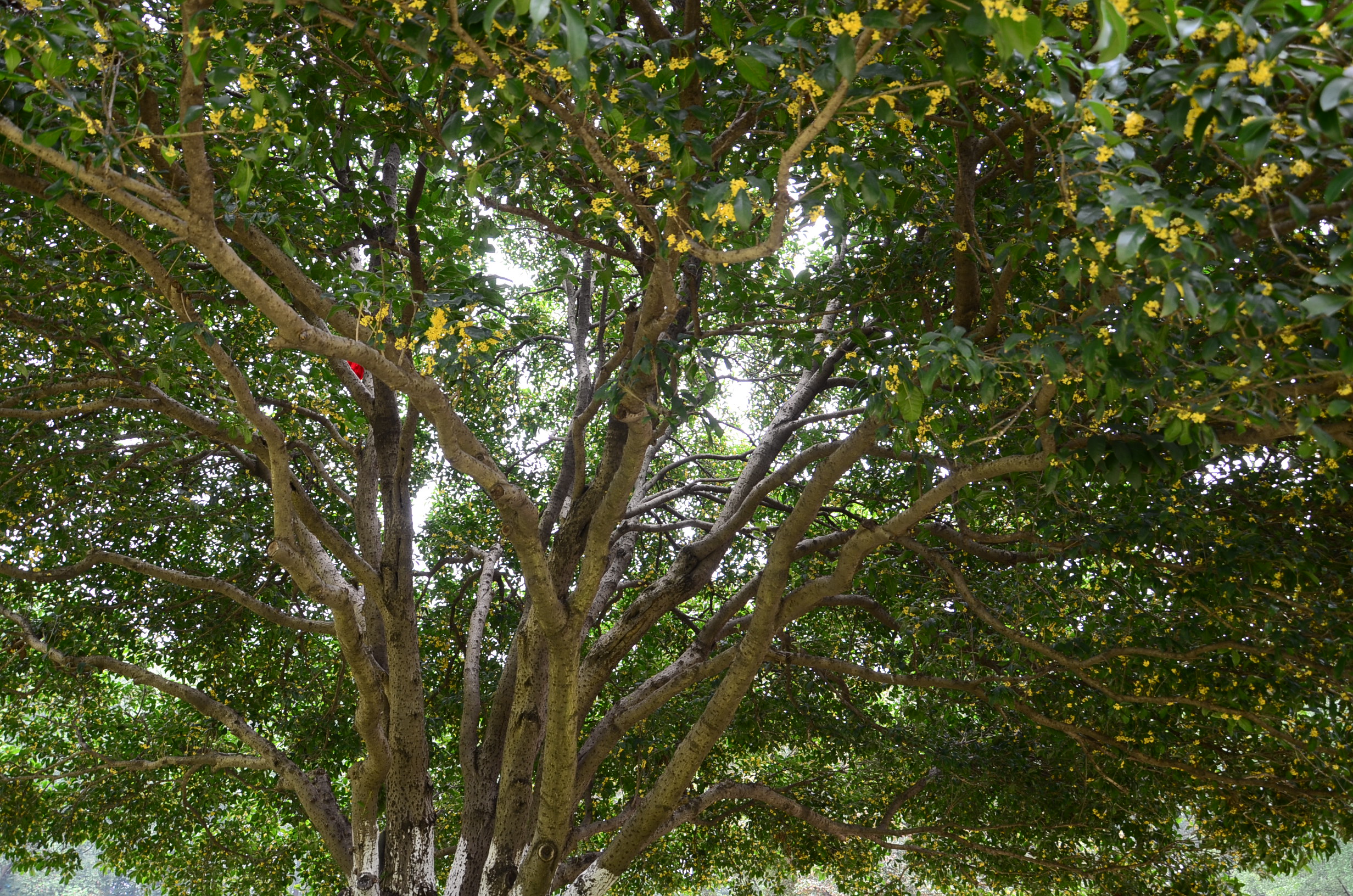 DSC_9128.JPG