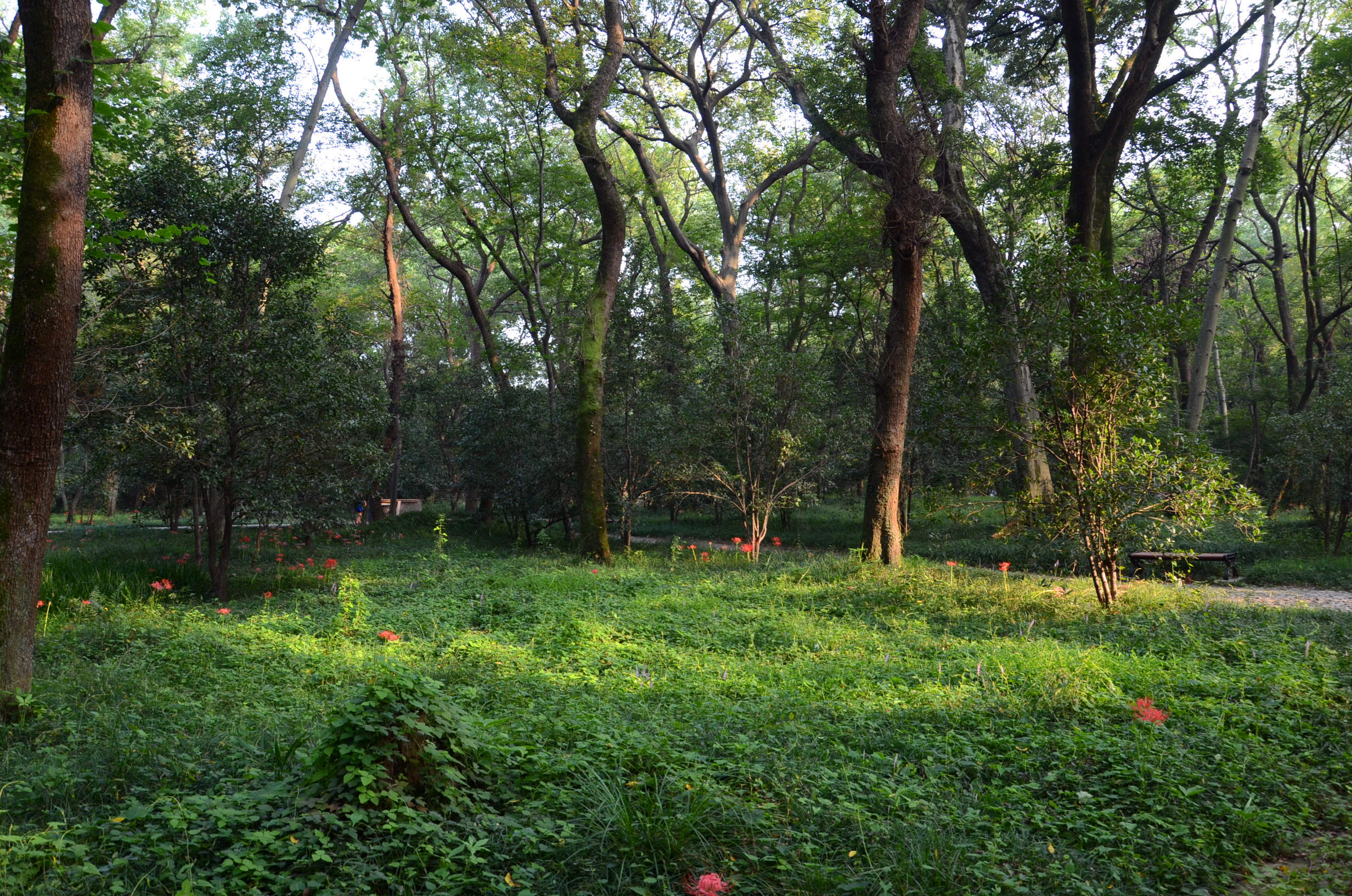 DSC_9612.jpg