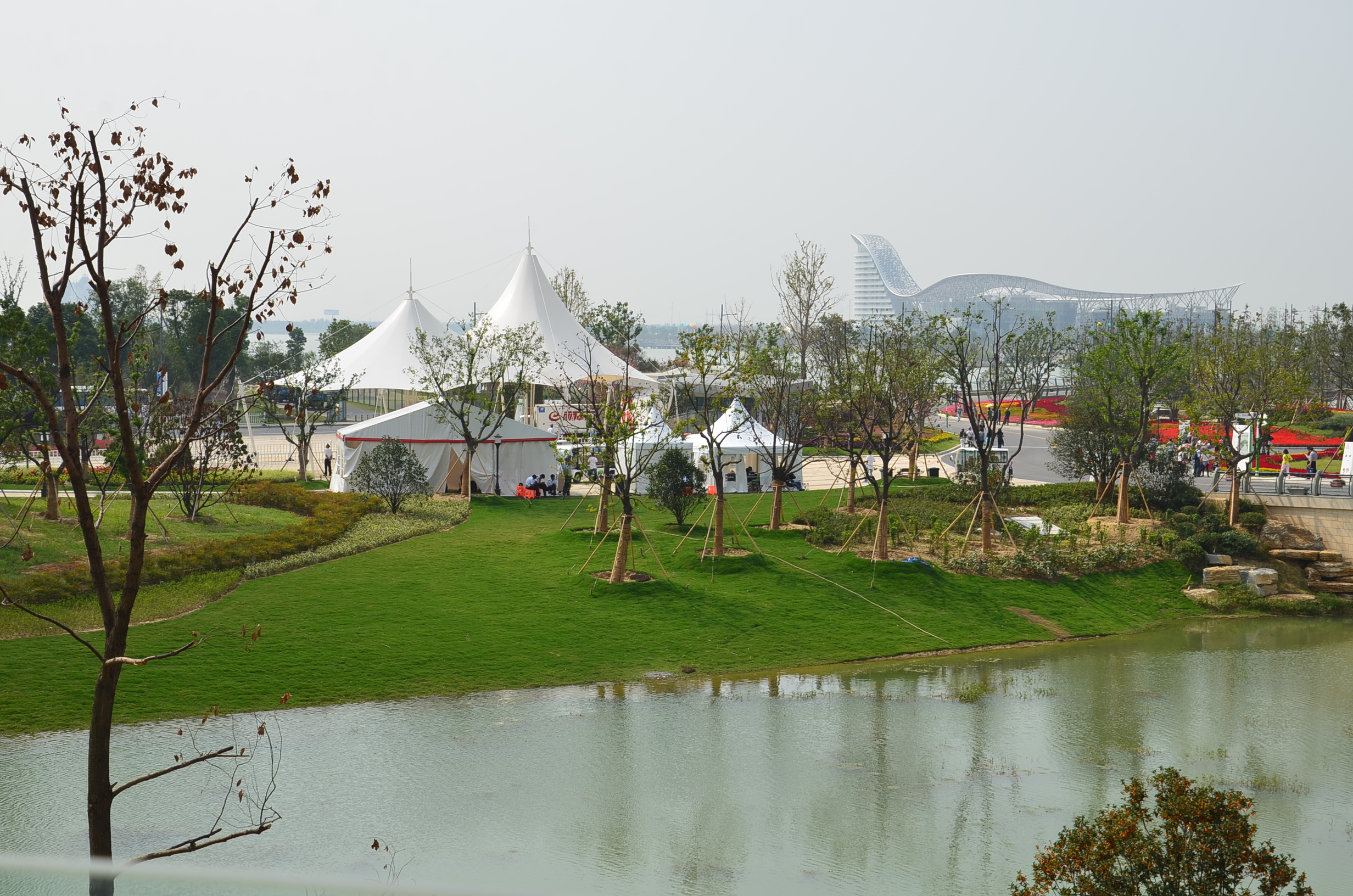 DSC_1898.JPG