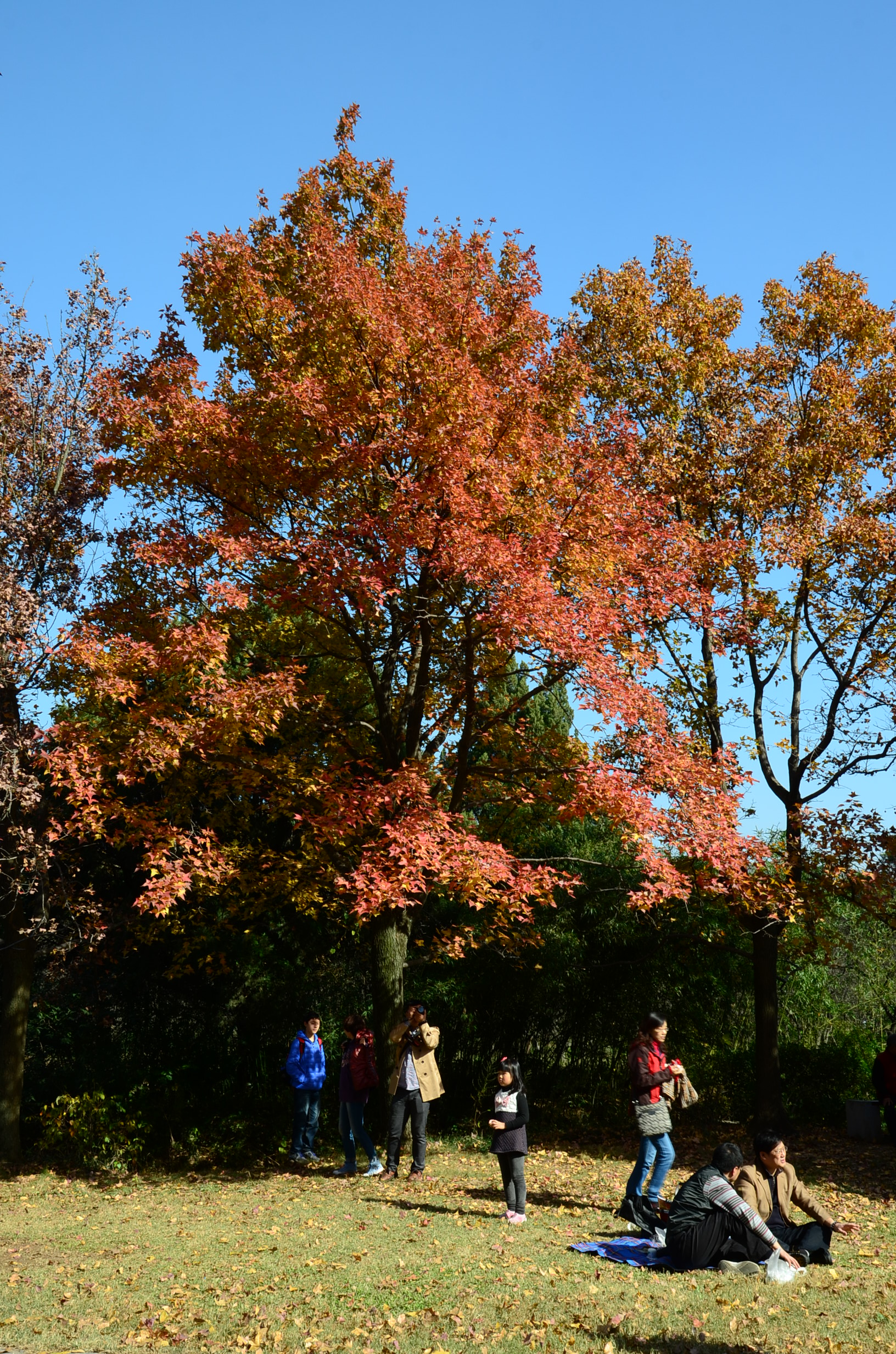 DSC_6288.JPG