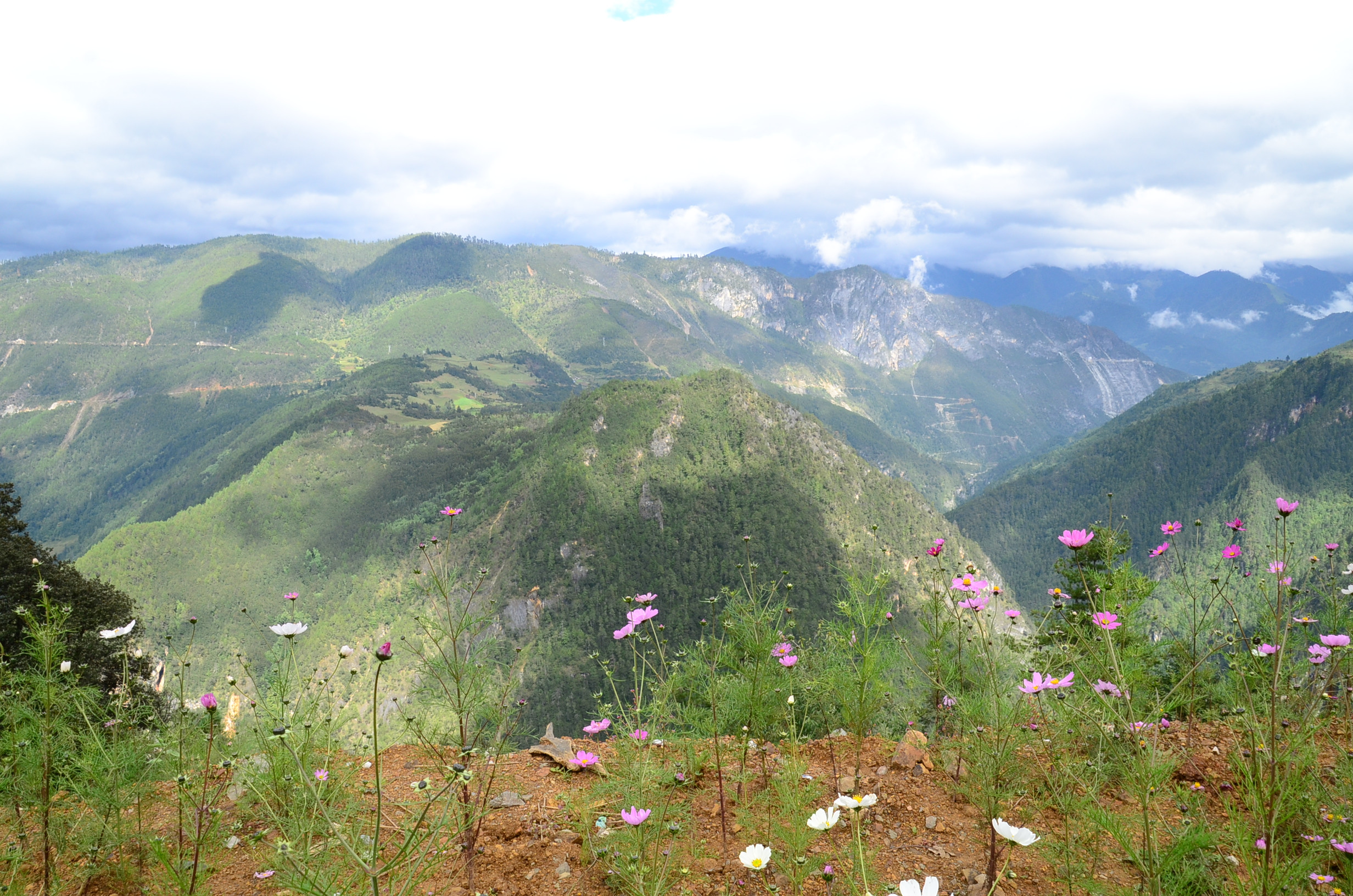 DSC_0867.jpg