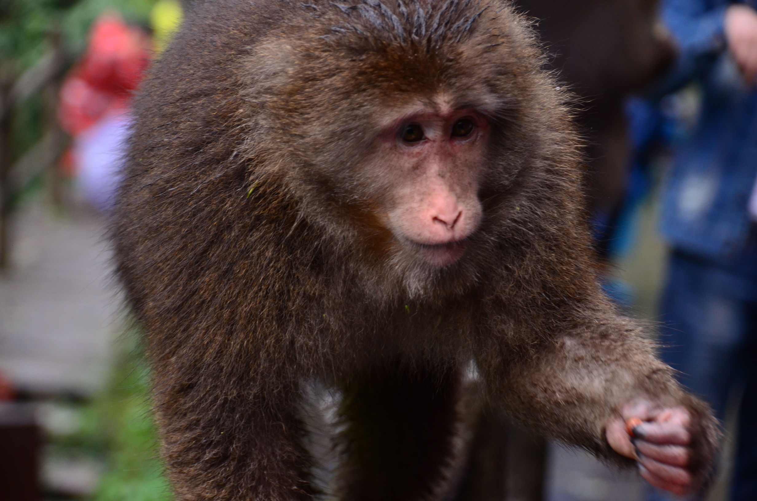 DSC_4076.jpg