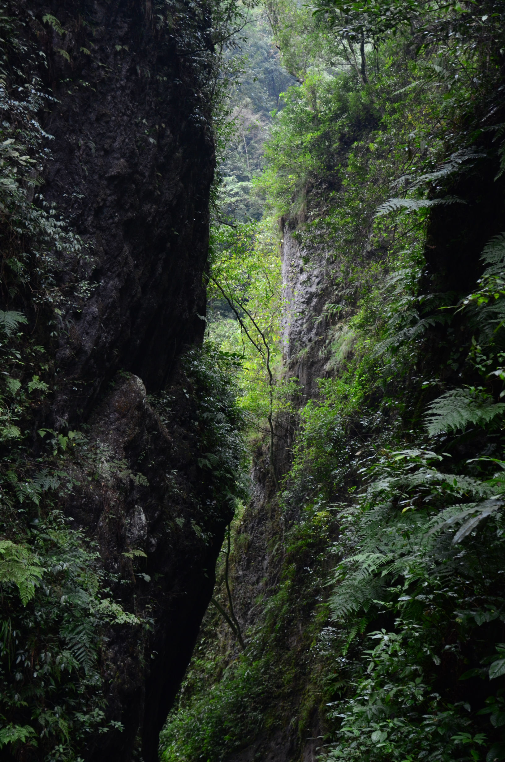 DSC_4165.jpg