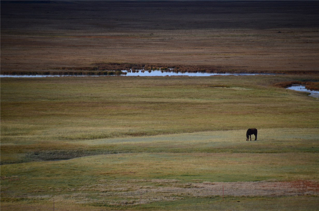 DSC_8154.jpg