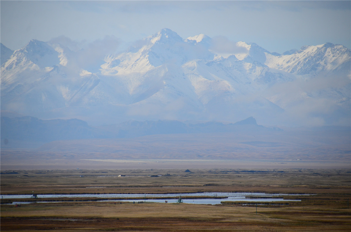 DSC_8186.jpg
