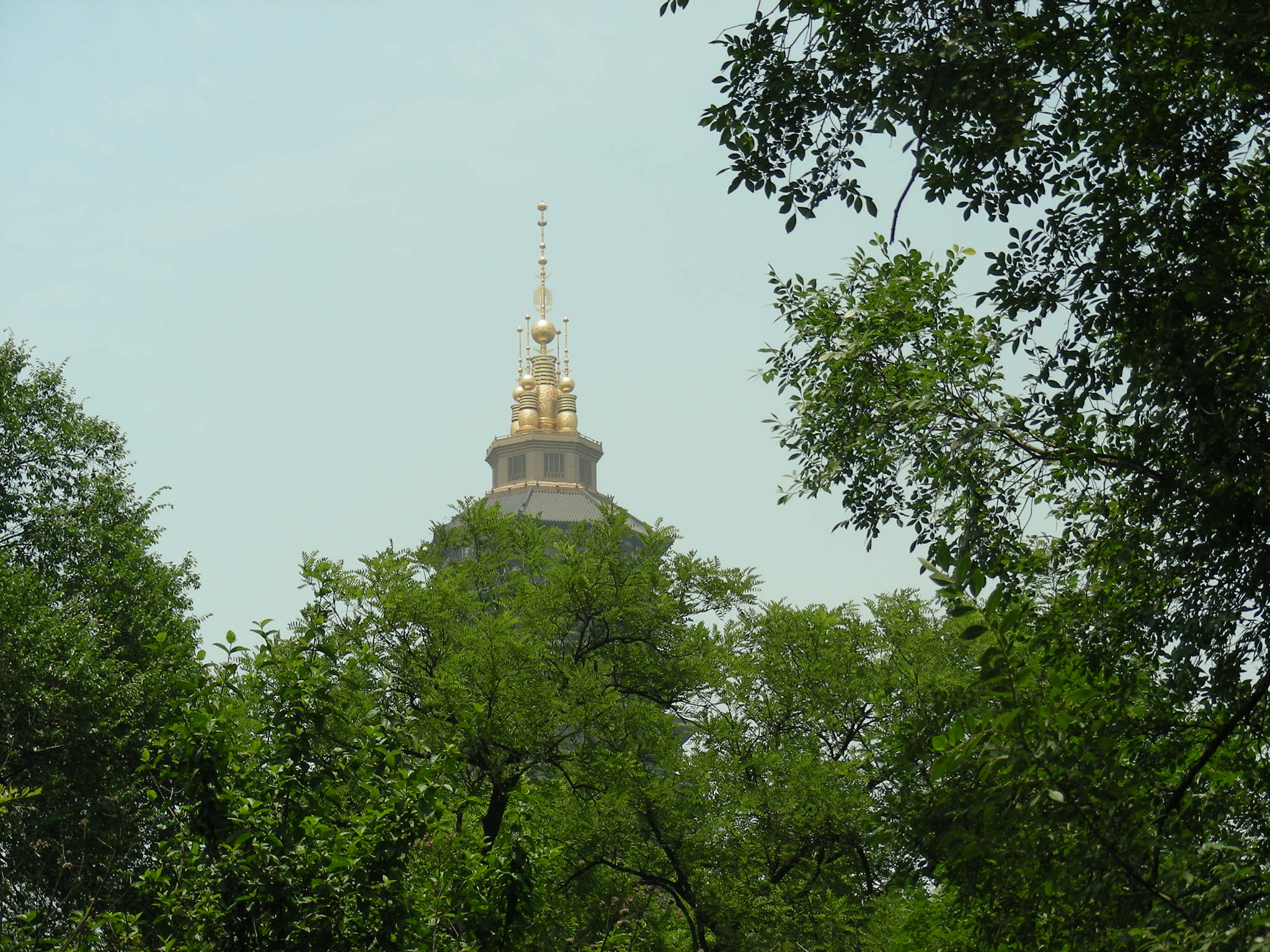 DSCN0893.JPG
