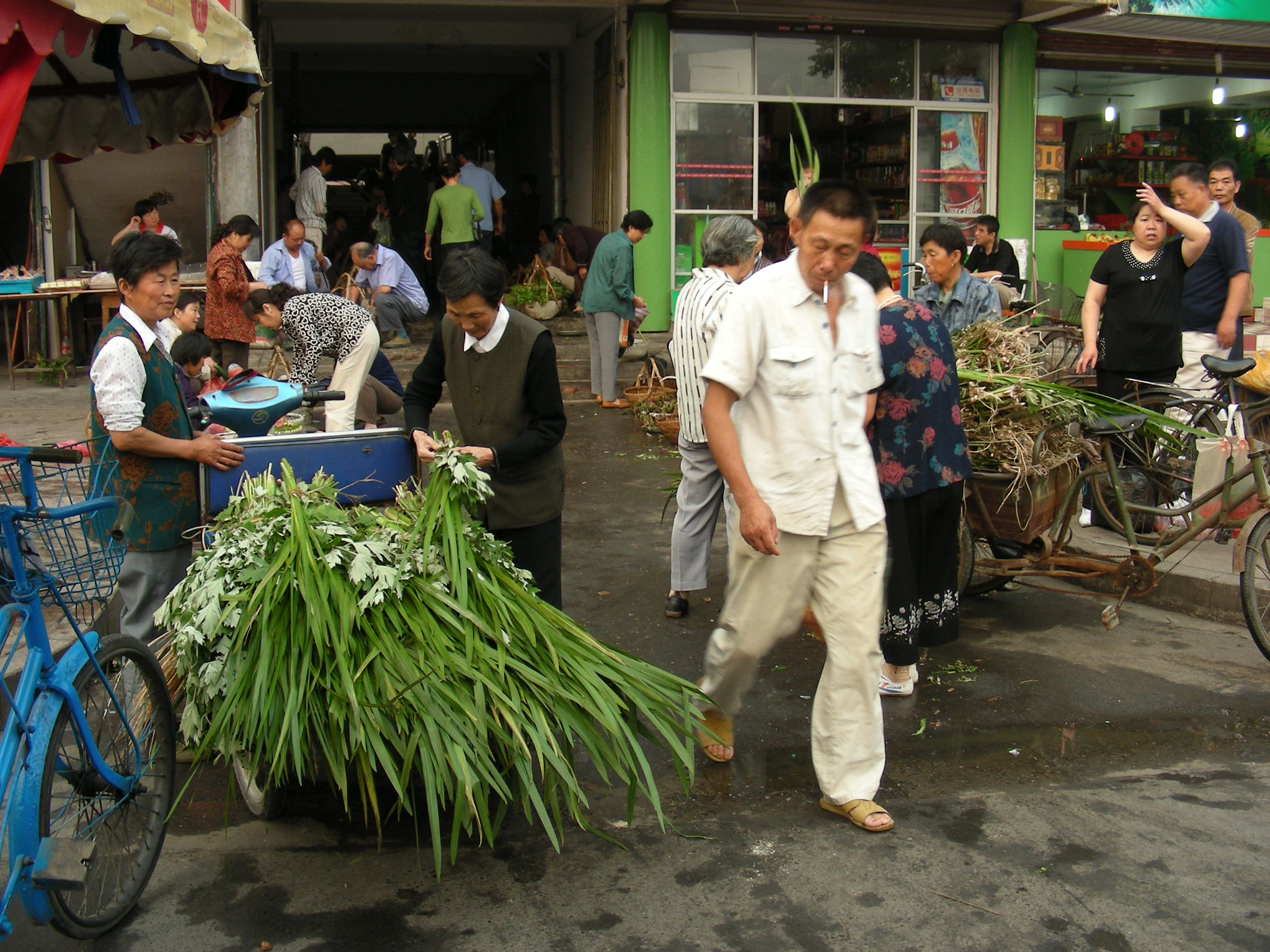 DSCN9786.JPG