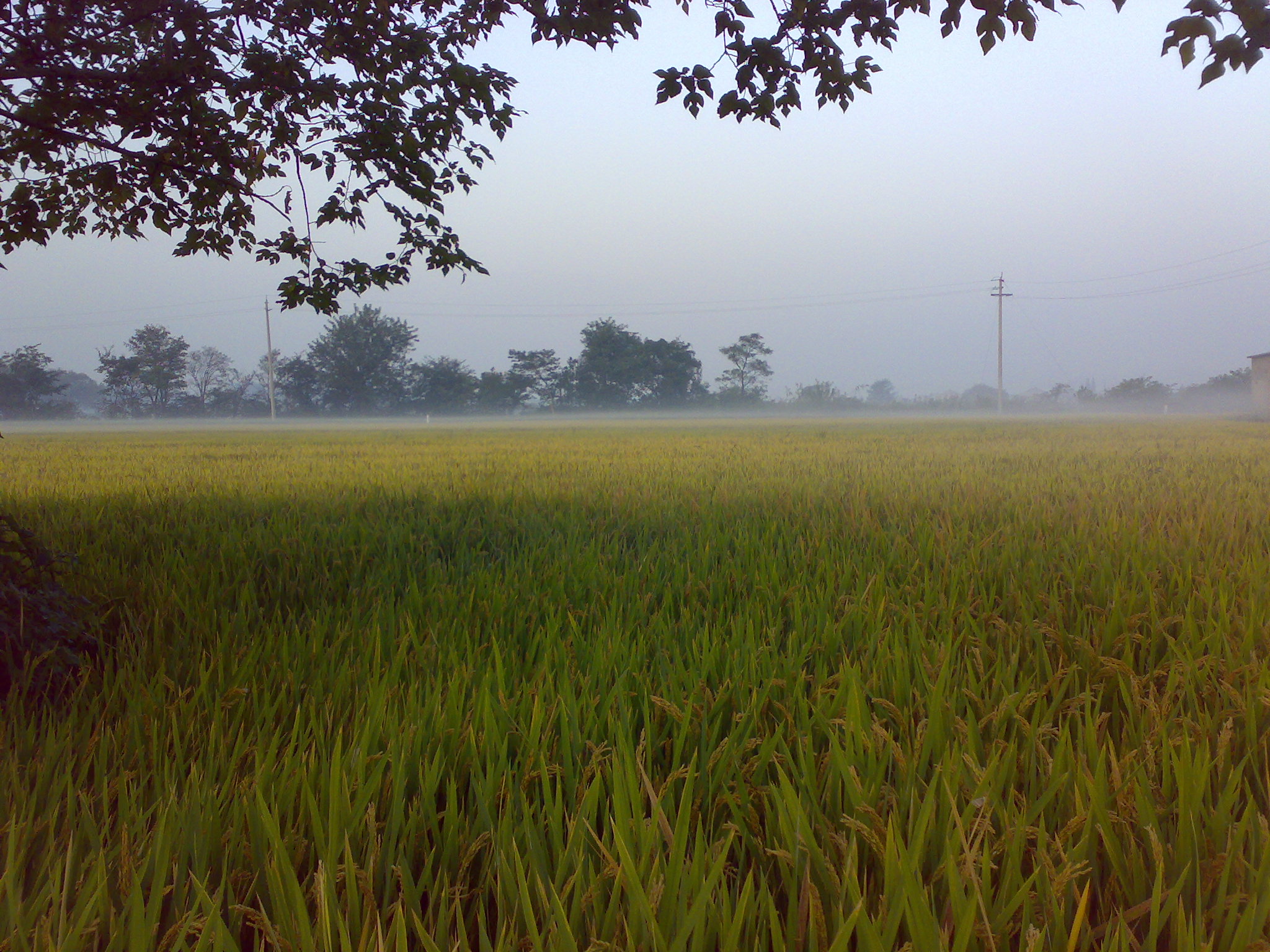 20091021686.jpg
