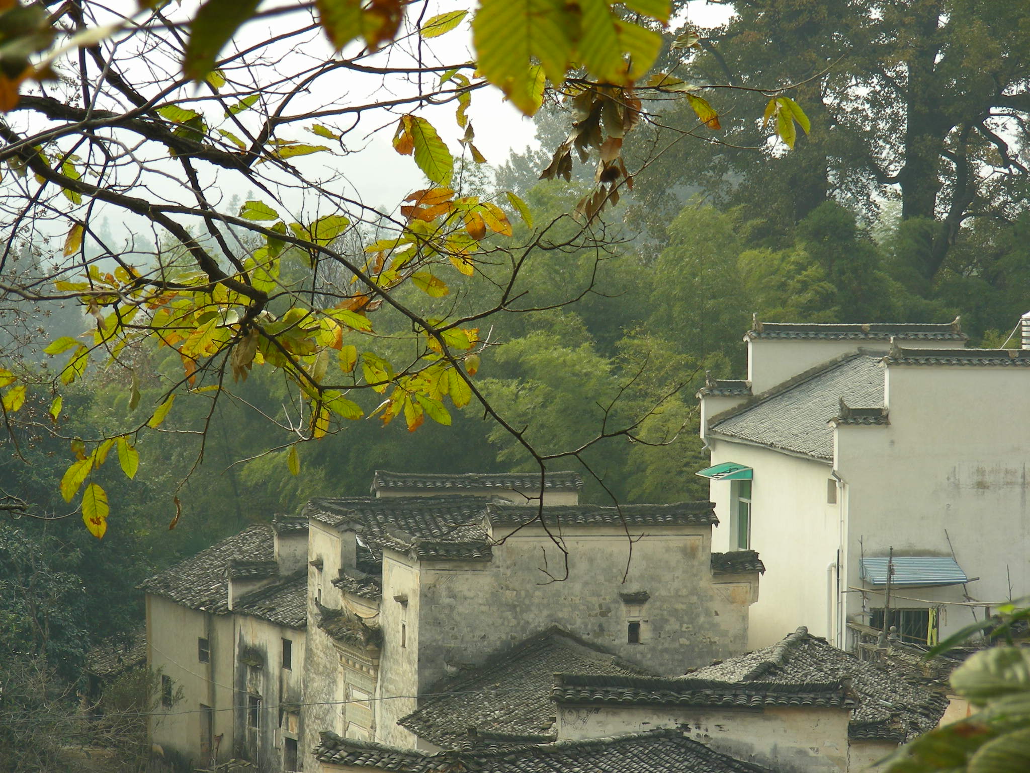 DSCN0167.JPG
