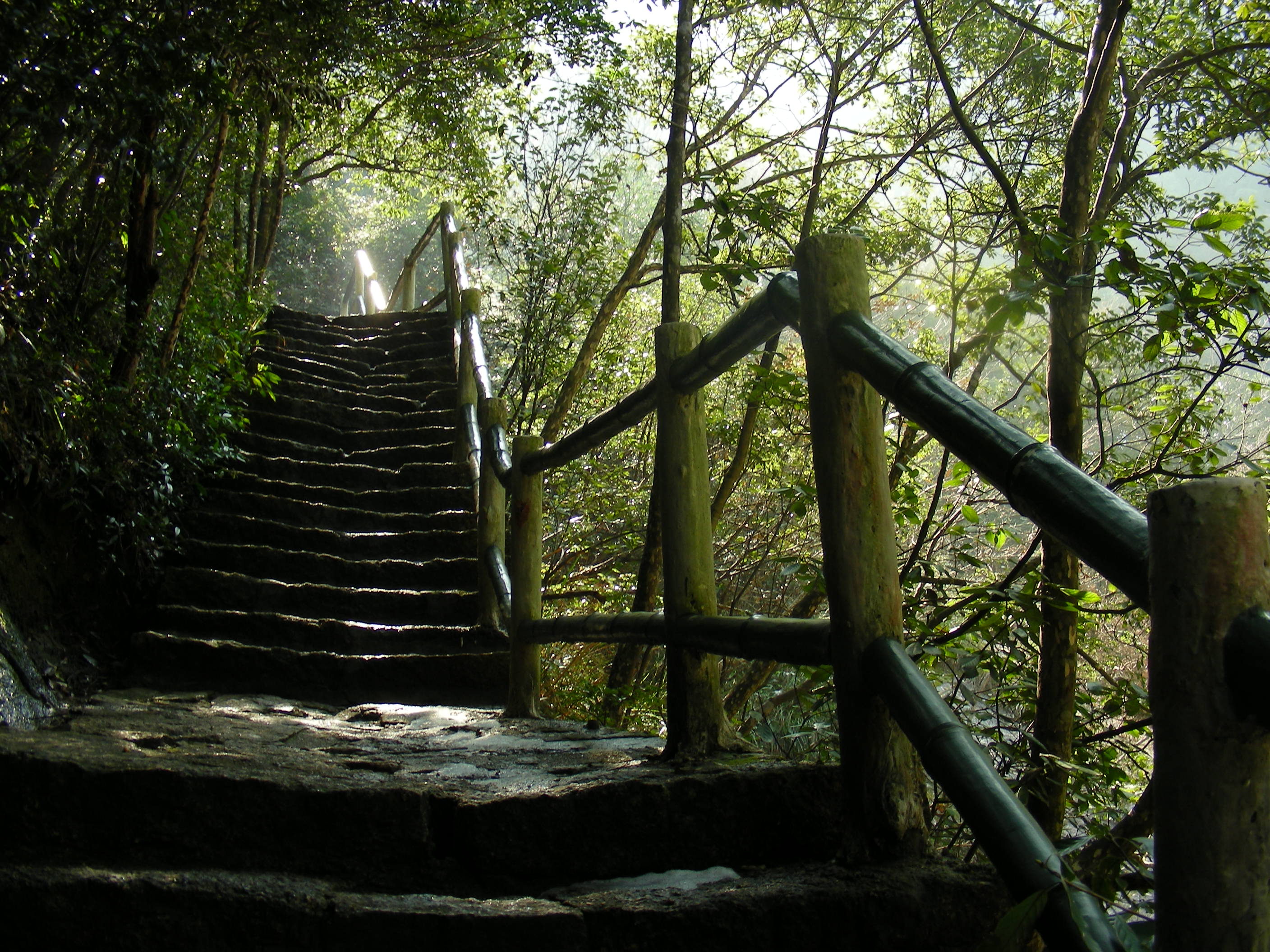 DSCN0363.JPG