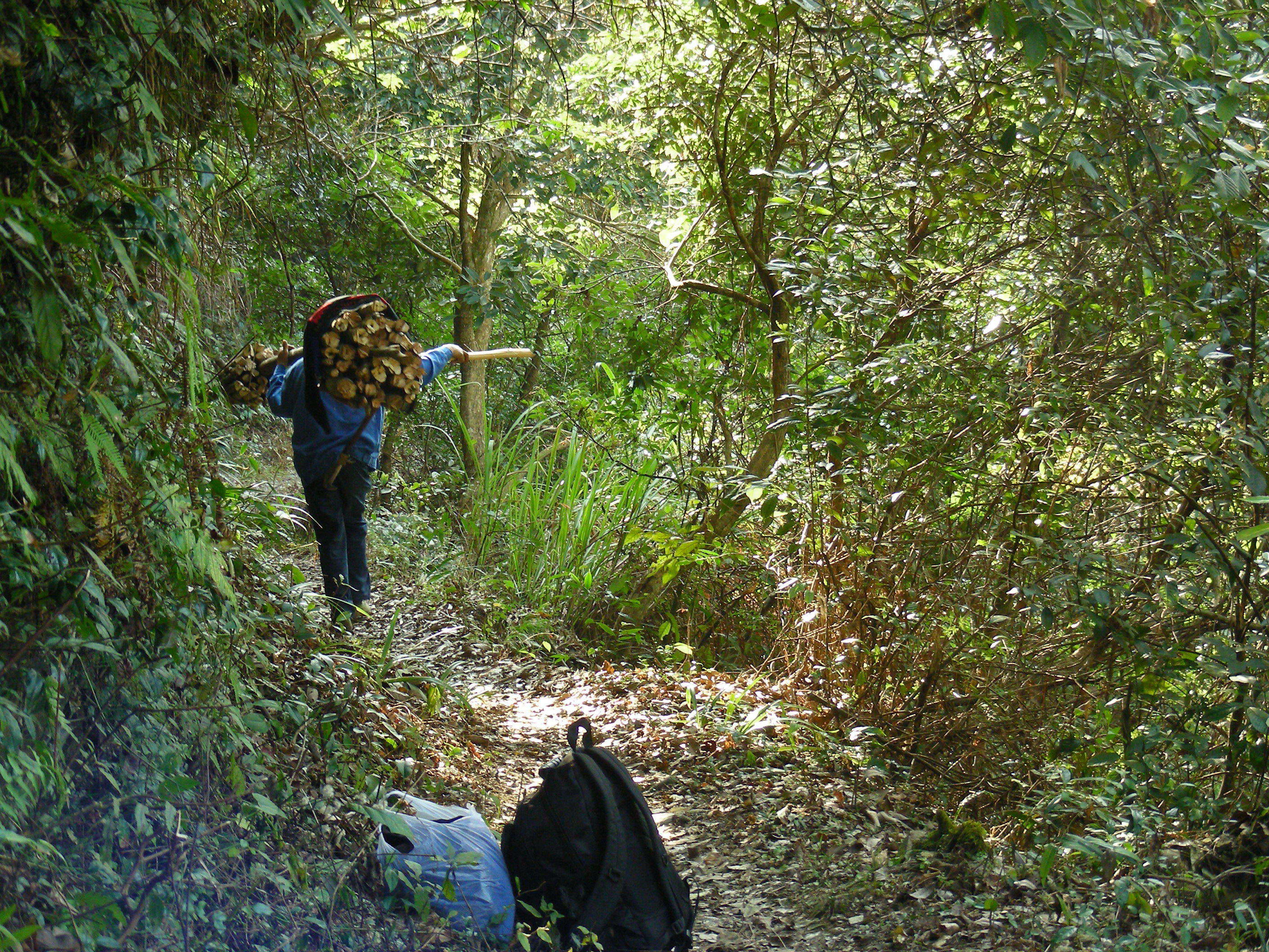 DSCN1380.JPG