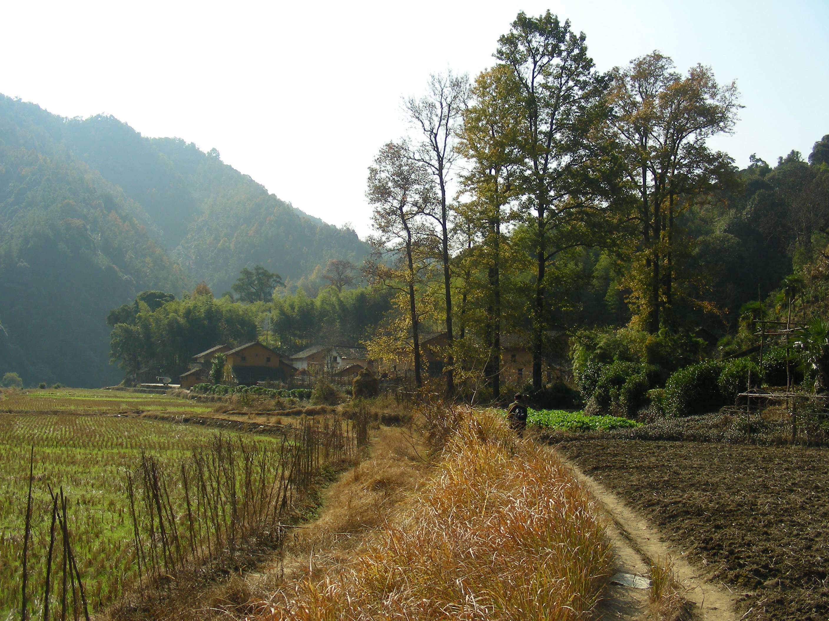DSCN1359.JPG