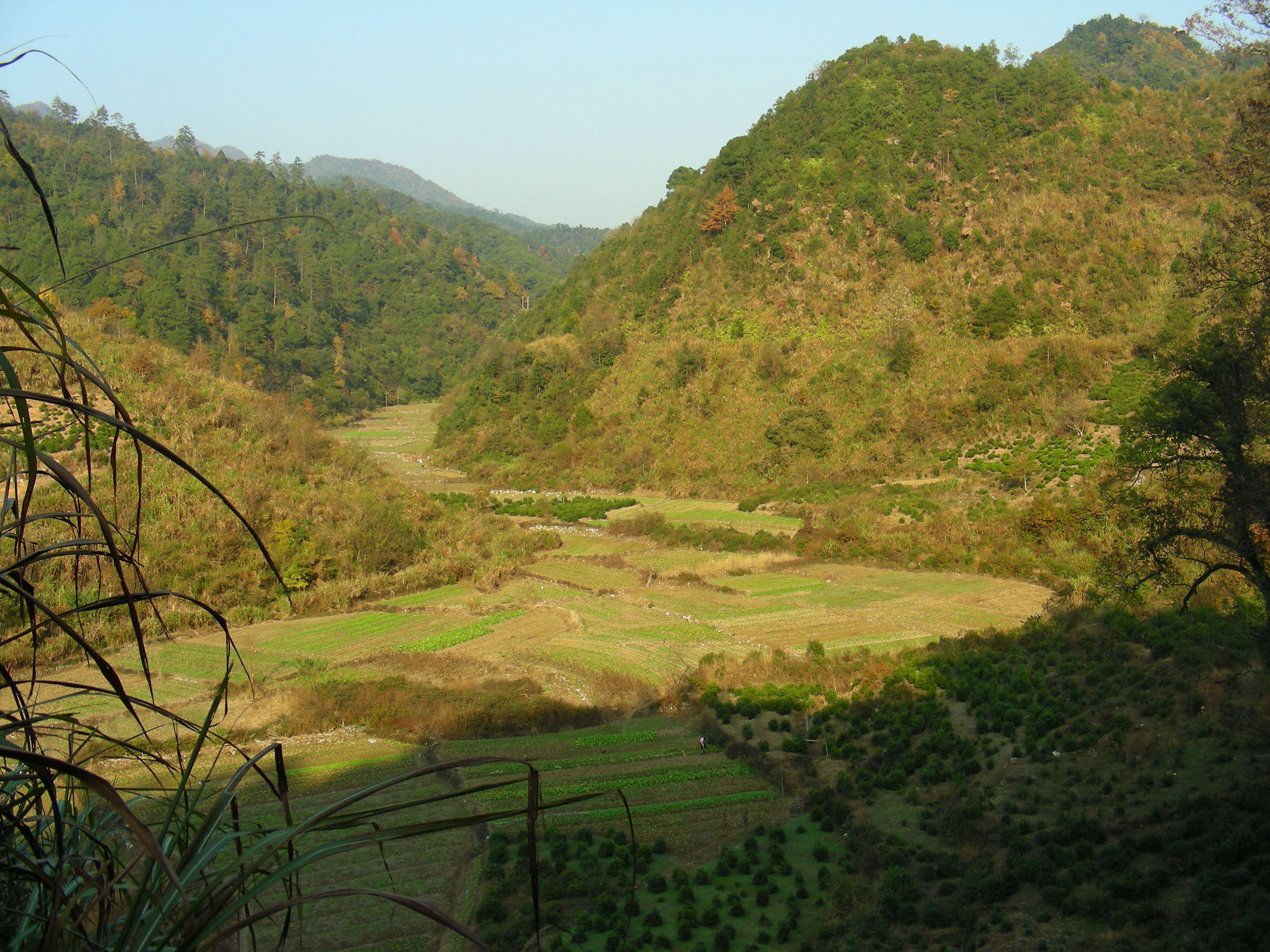 DSCN1405.JPG