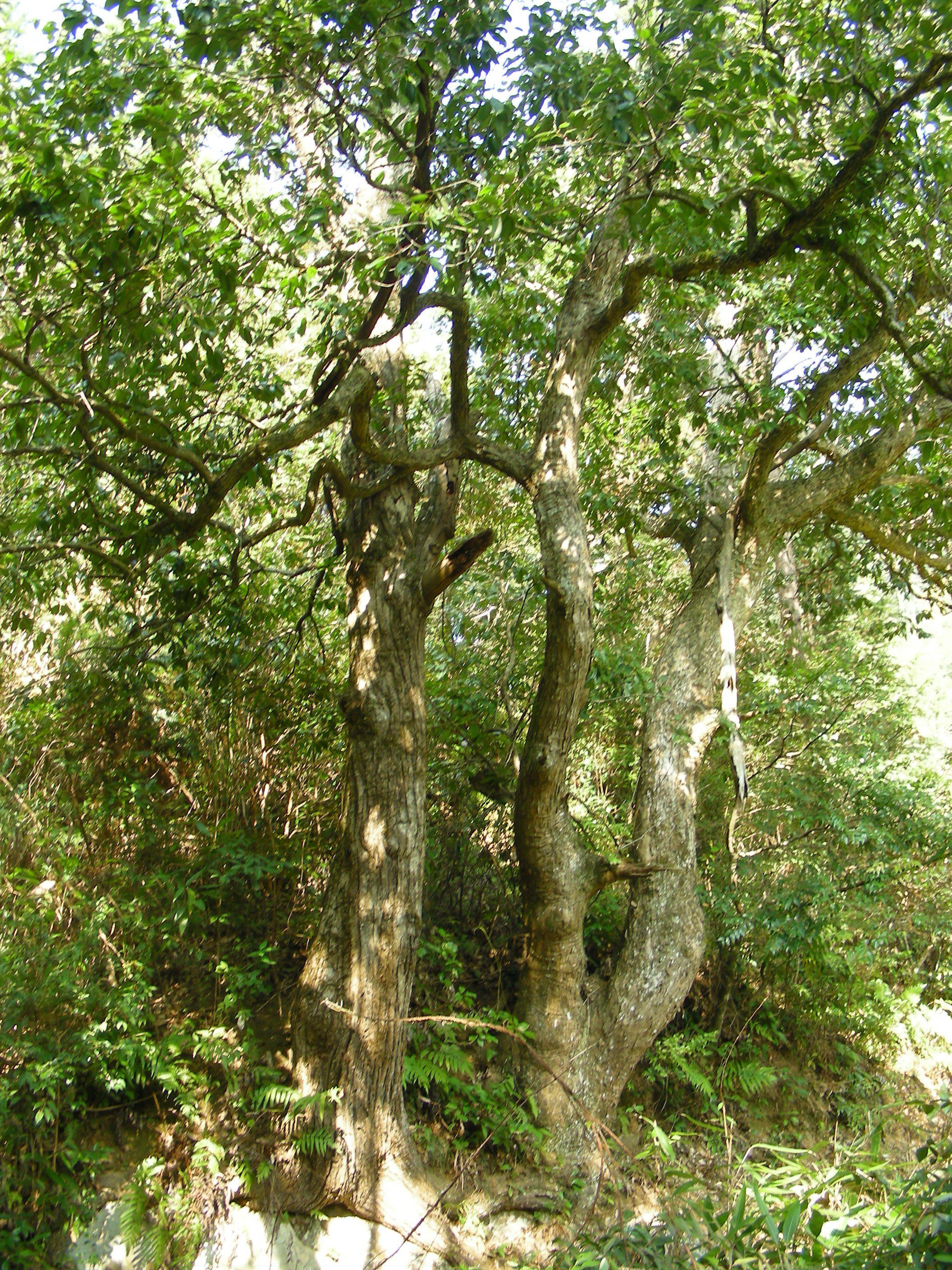 DSCN1337.JPG