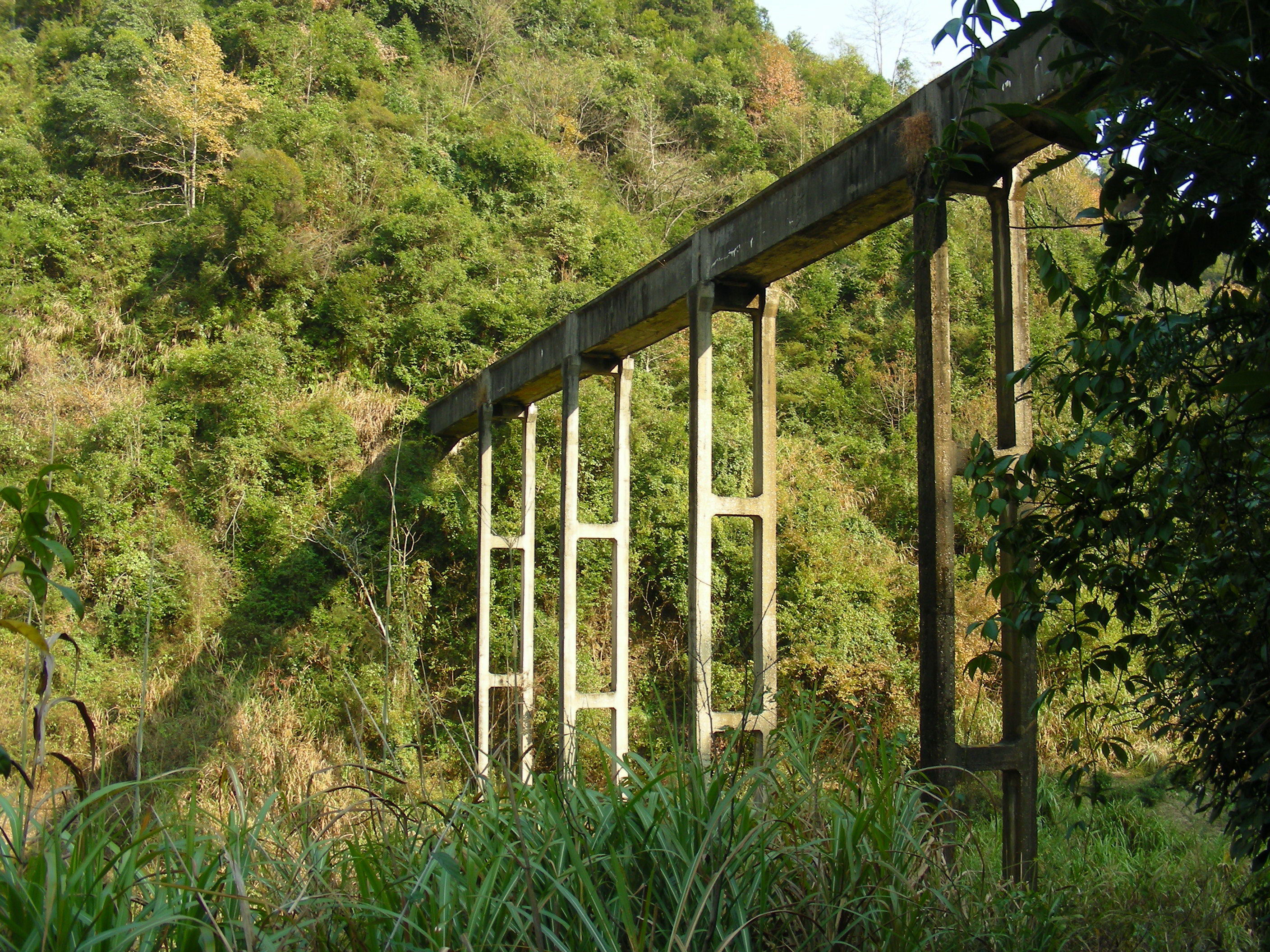 DSCN1395.JPG