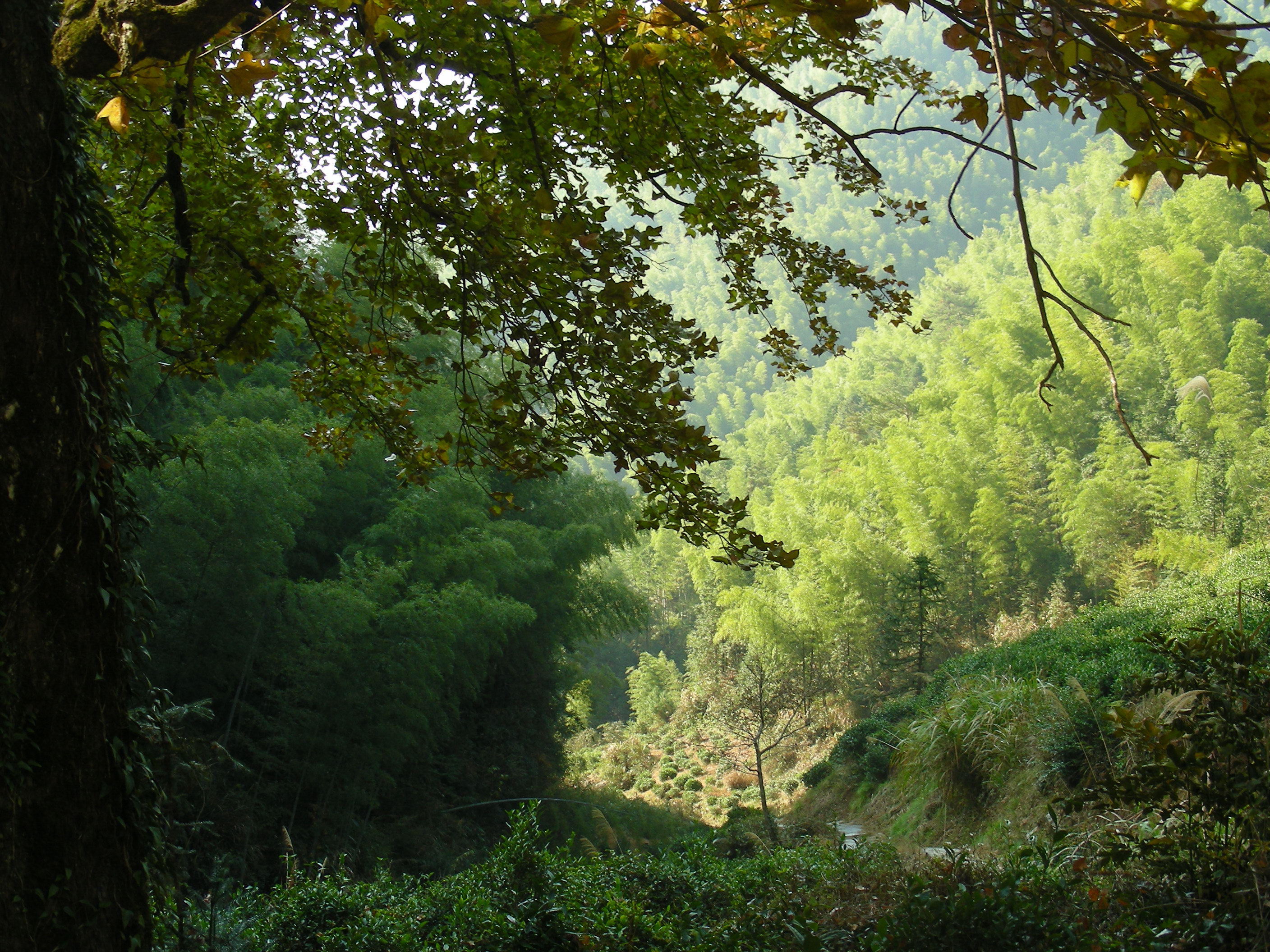 DSCN1292.JPG