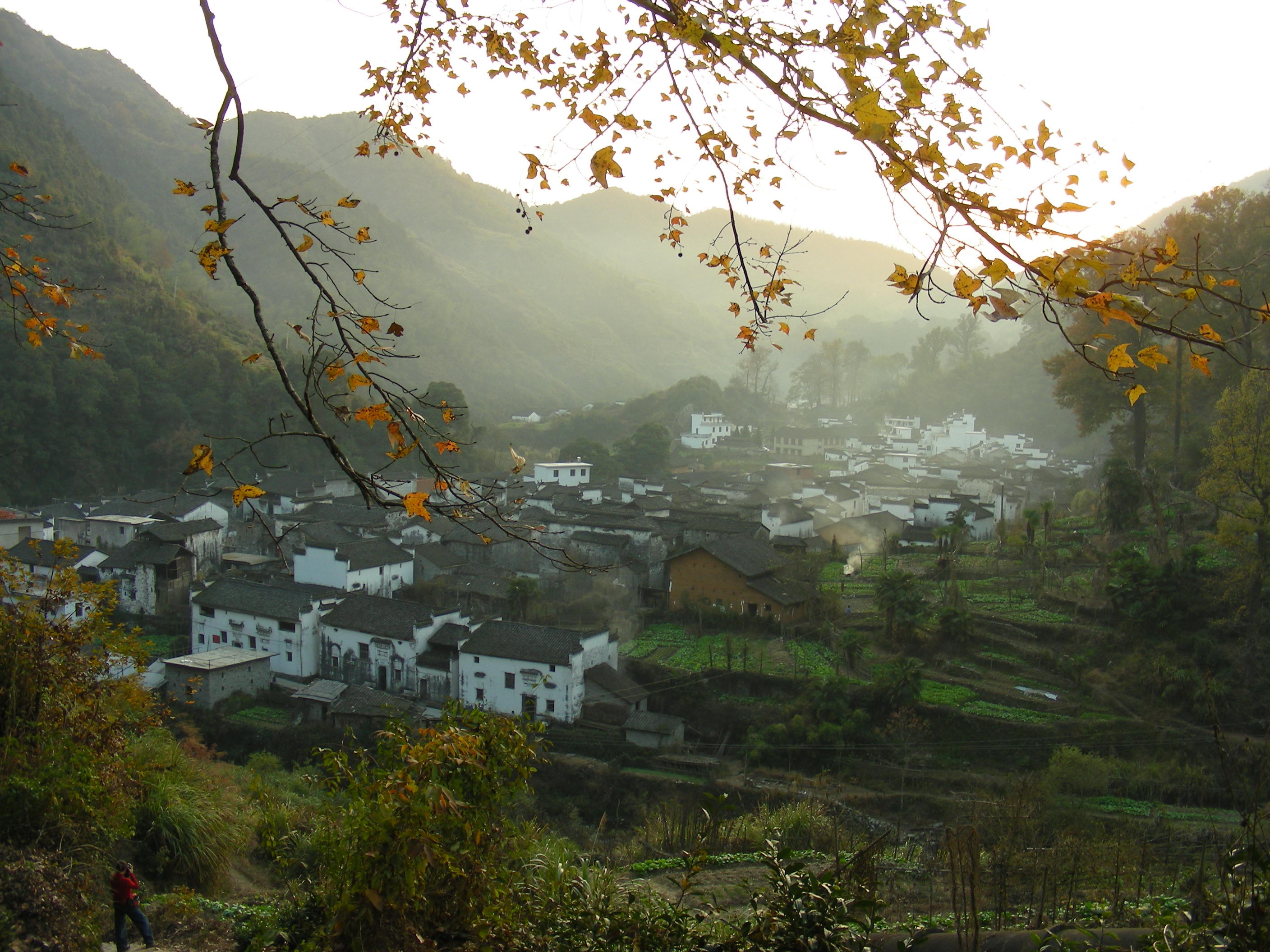 DSCN1477.JPG
