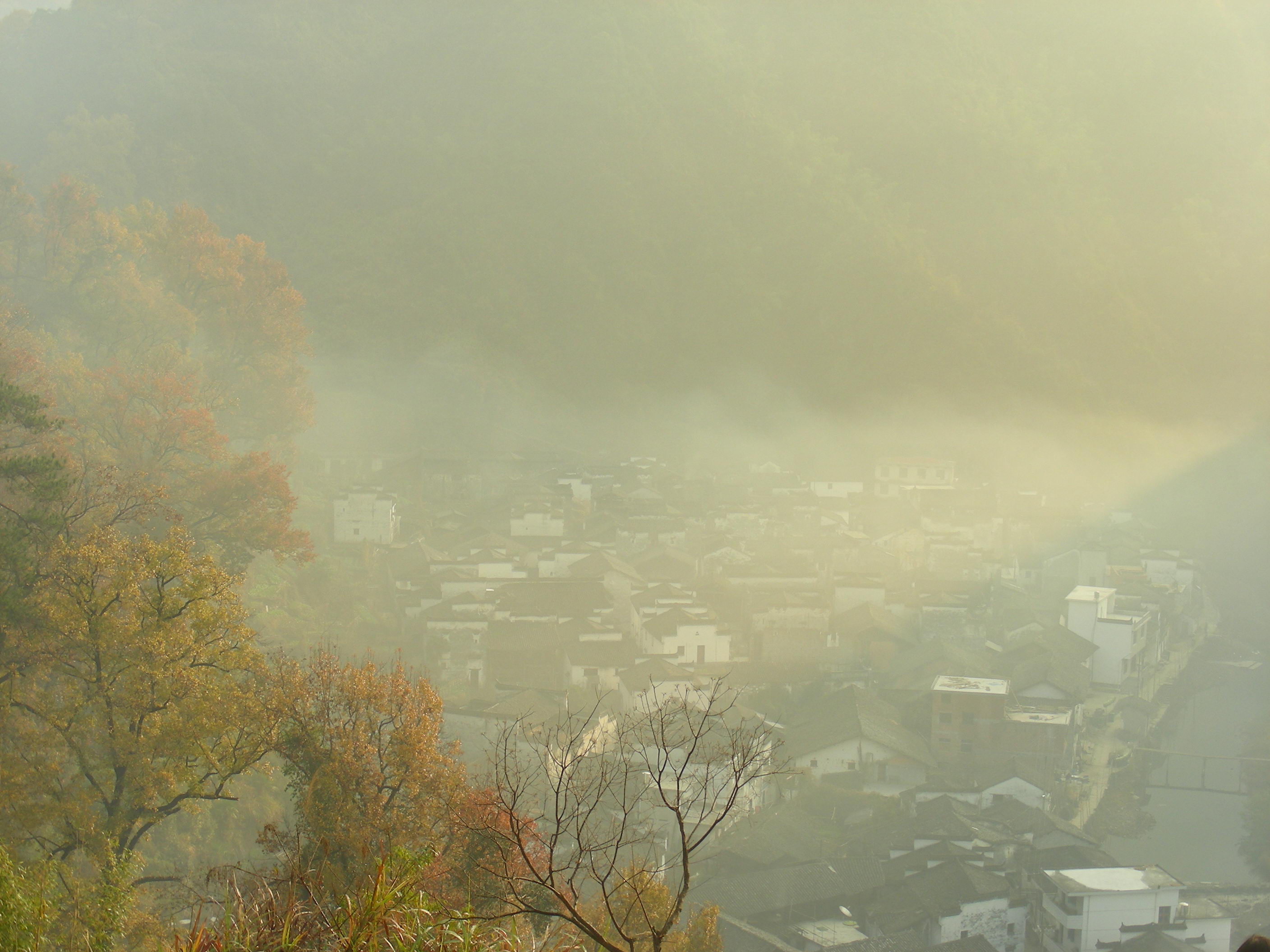 DSCN1585.JPG