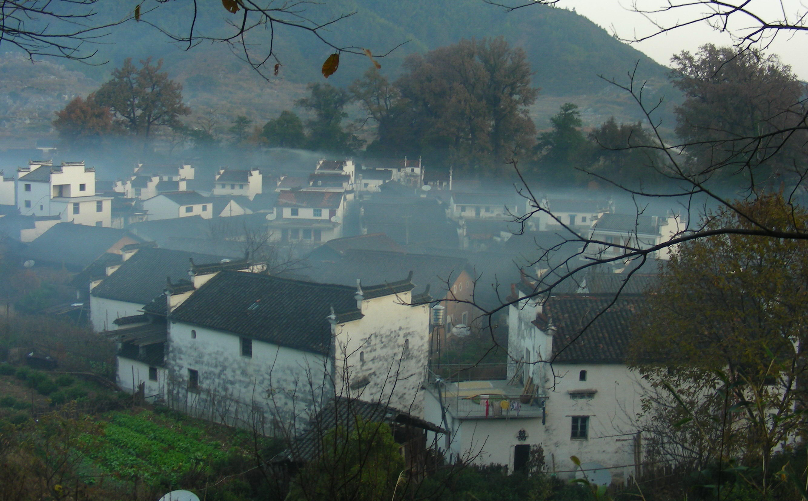 DSCN1166.JPG