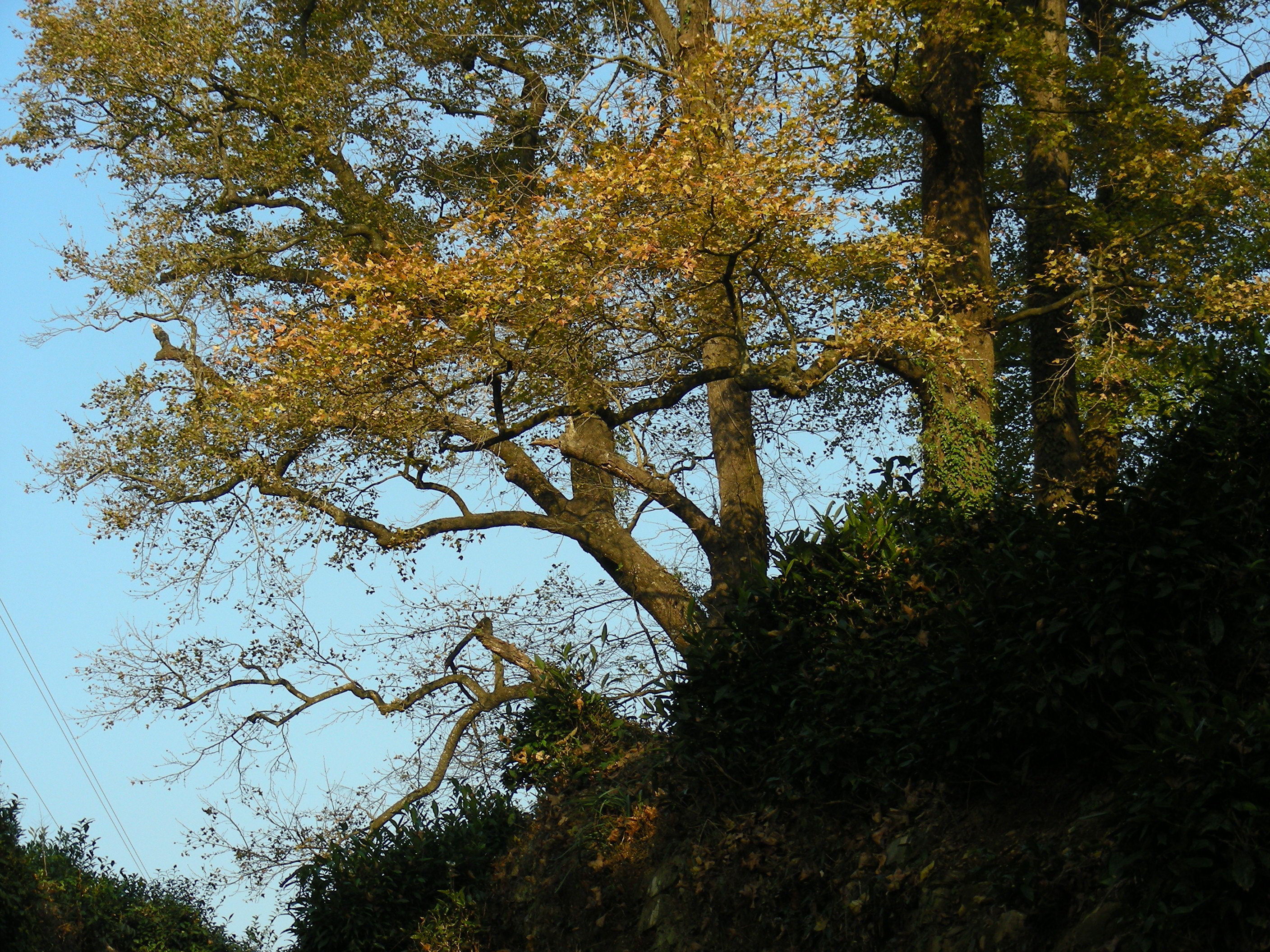 DSCN1414.JPG