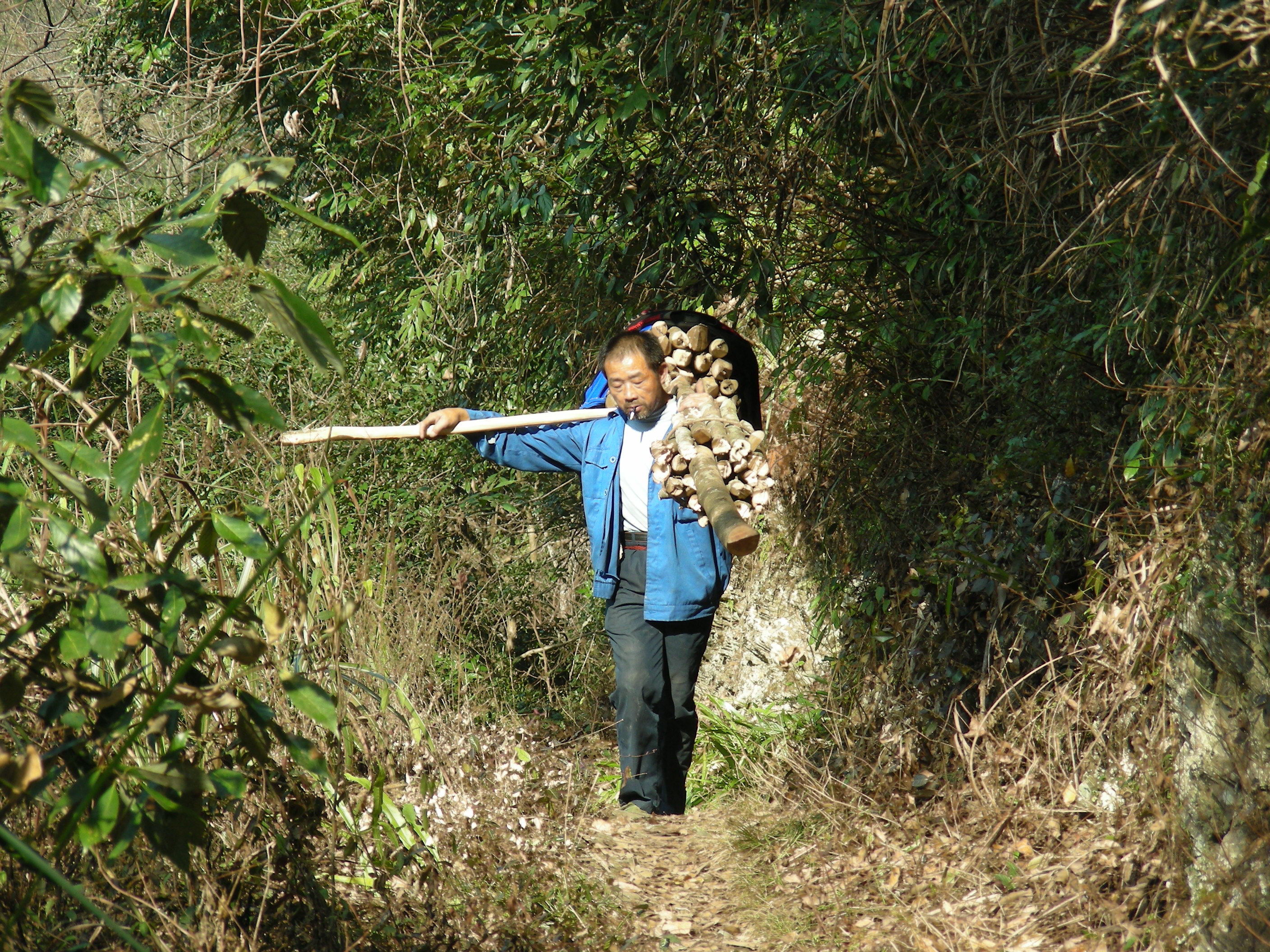 DSCN1379.JPG