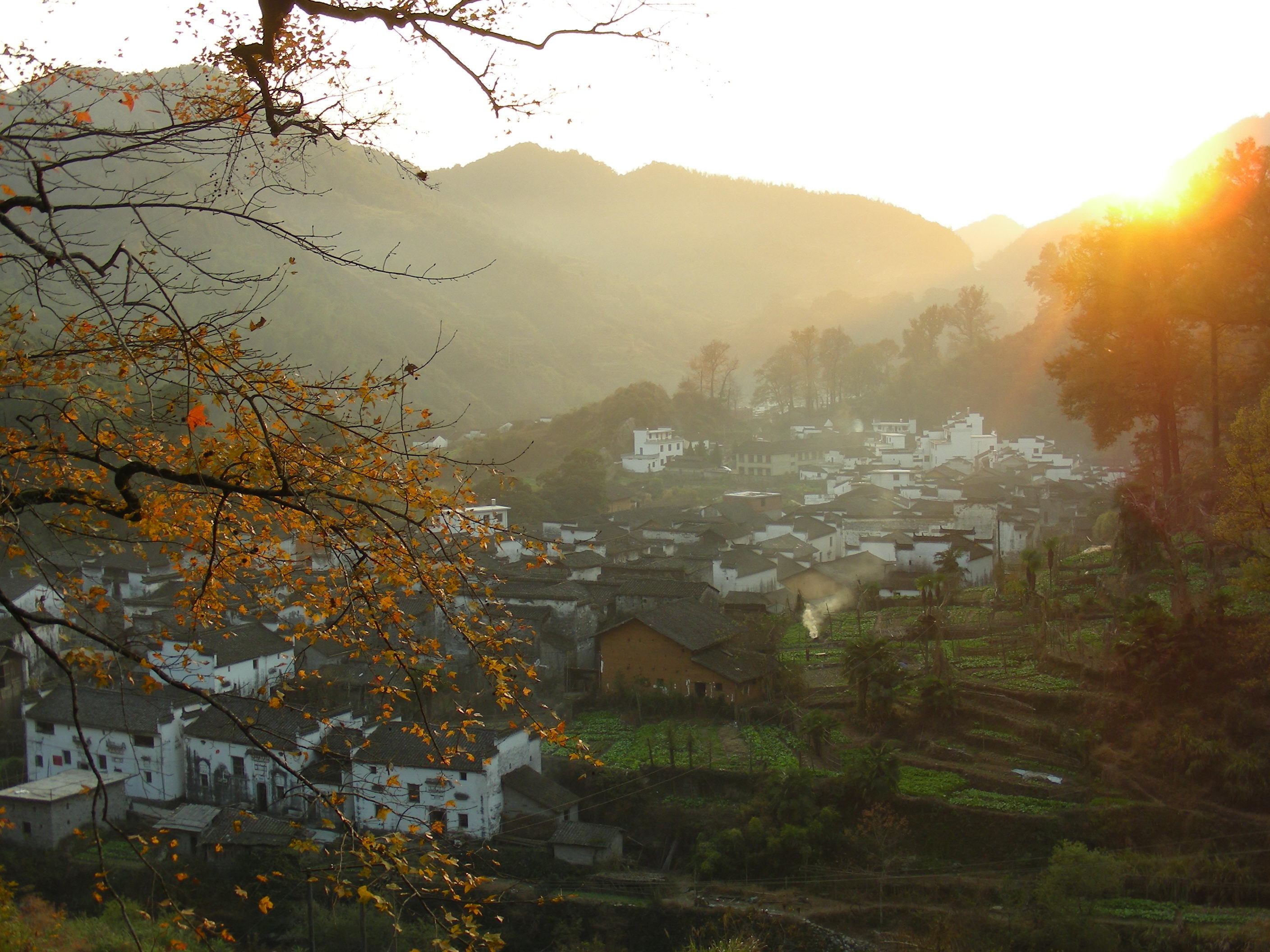 DSCN1470.JPG