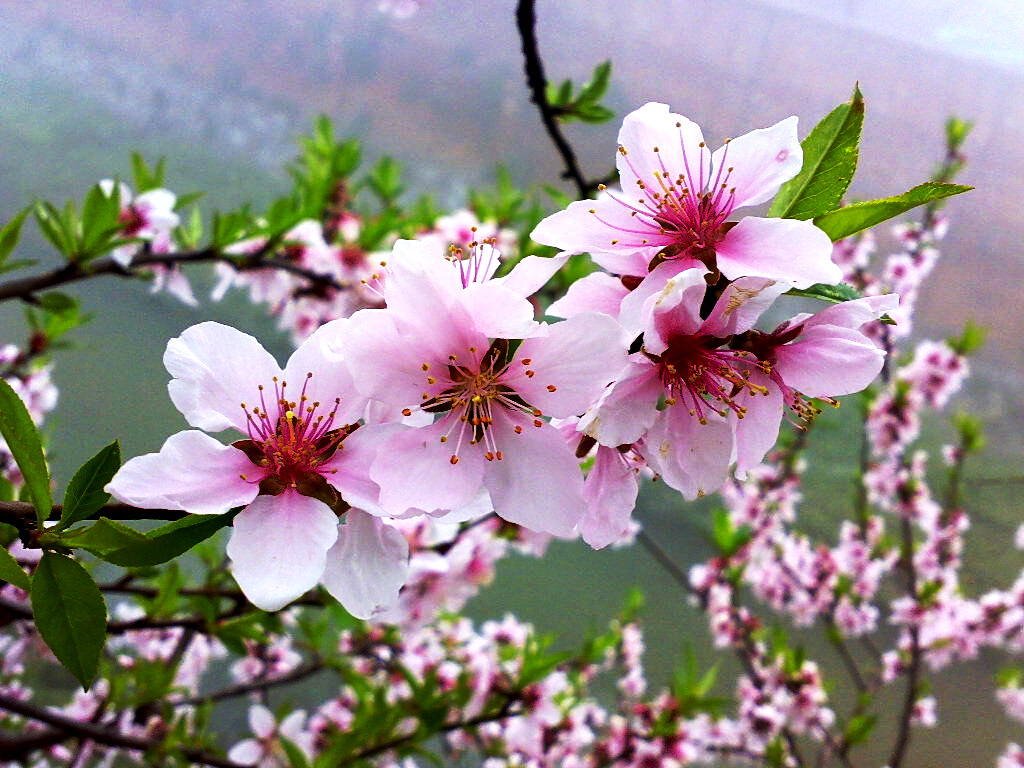 201004051042.JPG