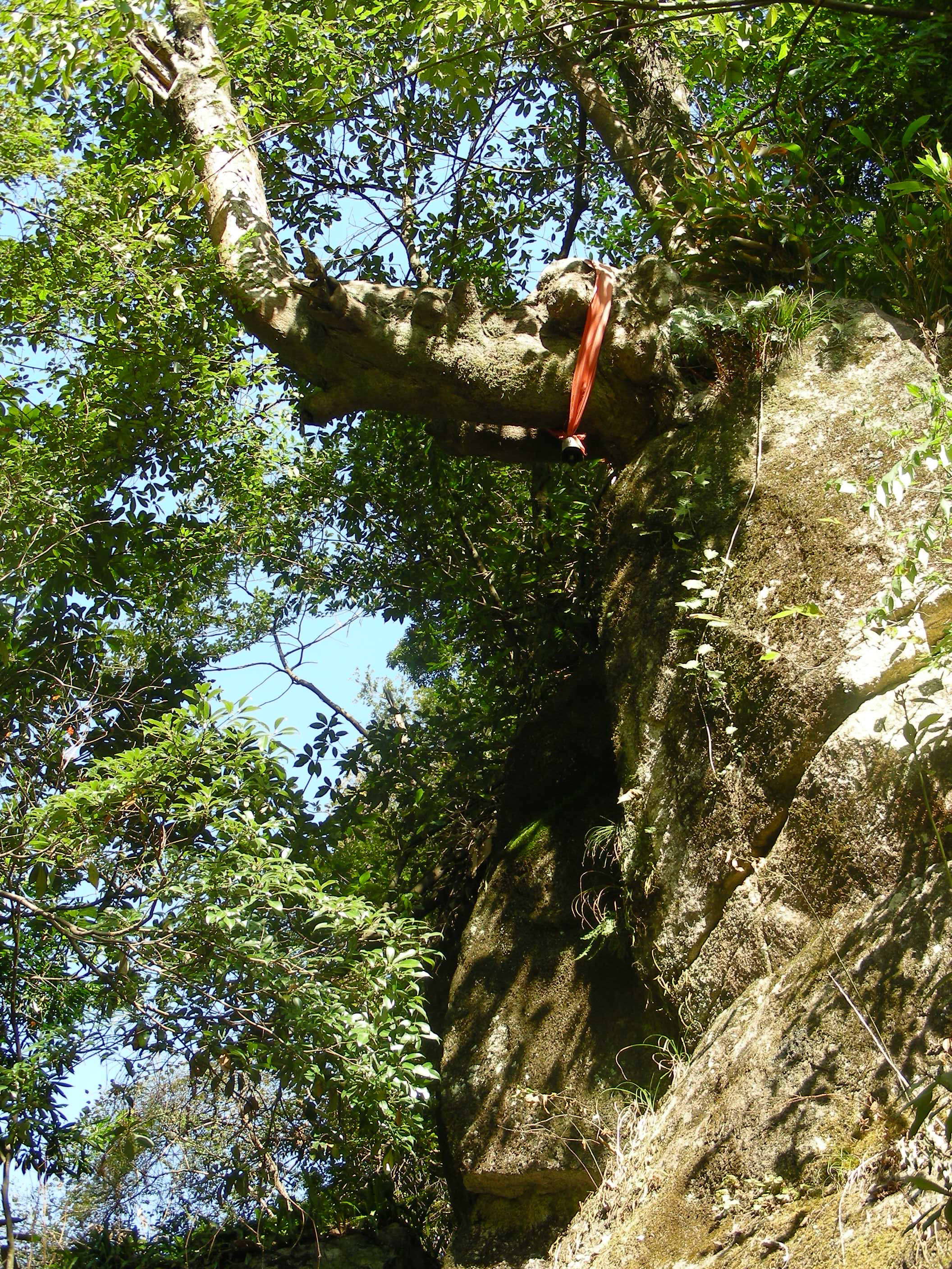 DSCN0909.JPG