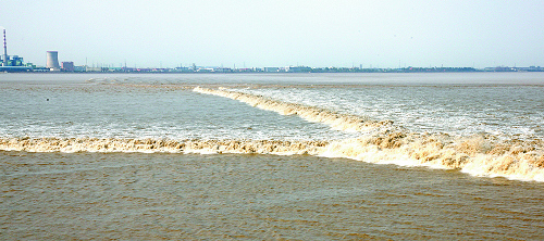 10138841_523179.jpg